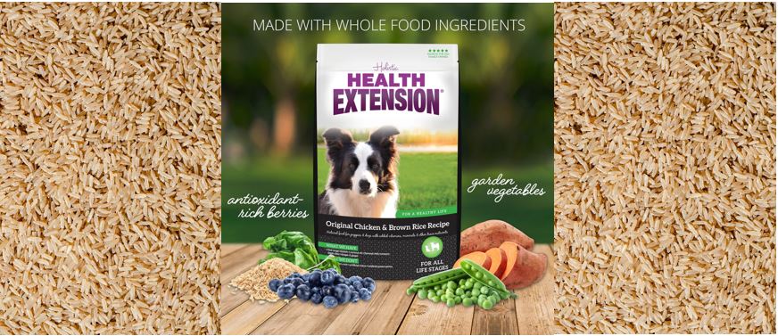 10 Benefits of Brown Rice in Dog Food