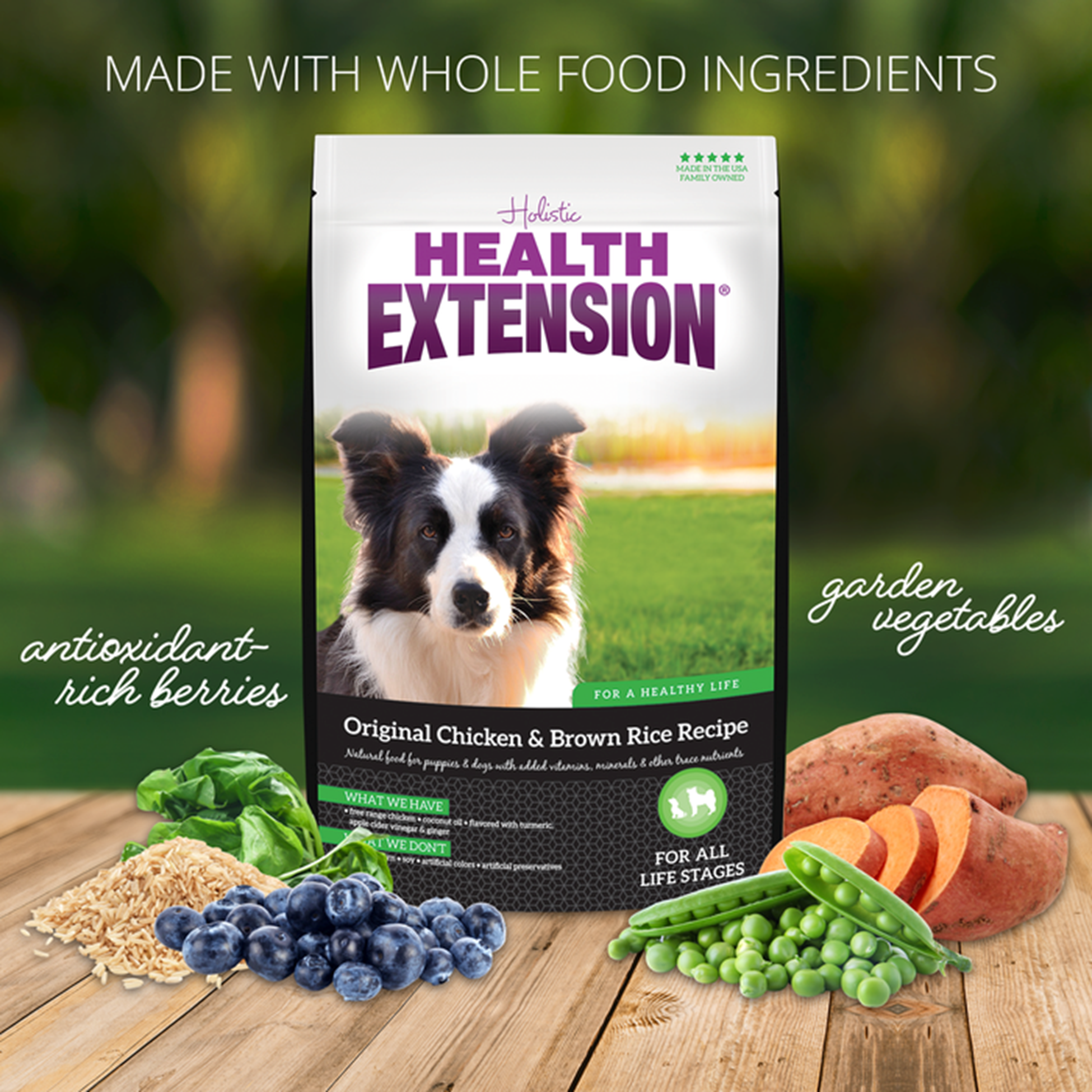 Holistic hot sale health extension