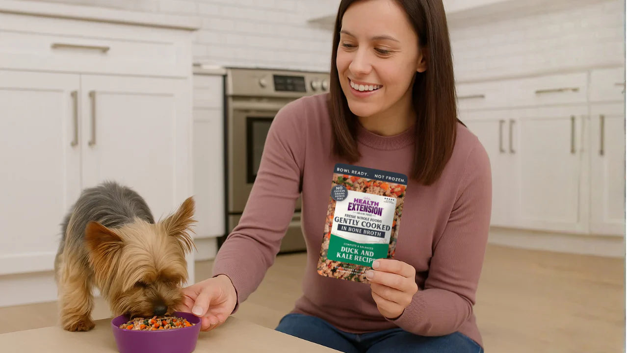 Gently Cooked vs. Traditional: What’s Best for Your Dog’s Nutrition?