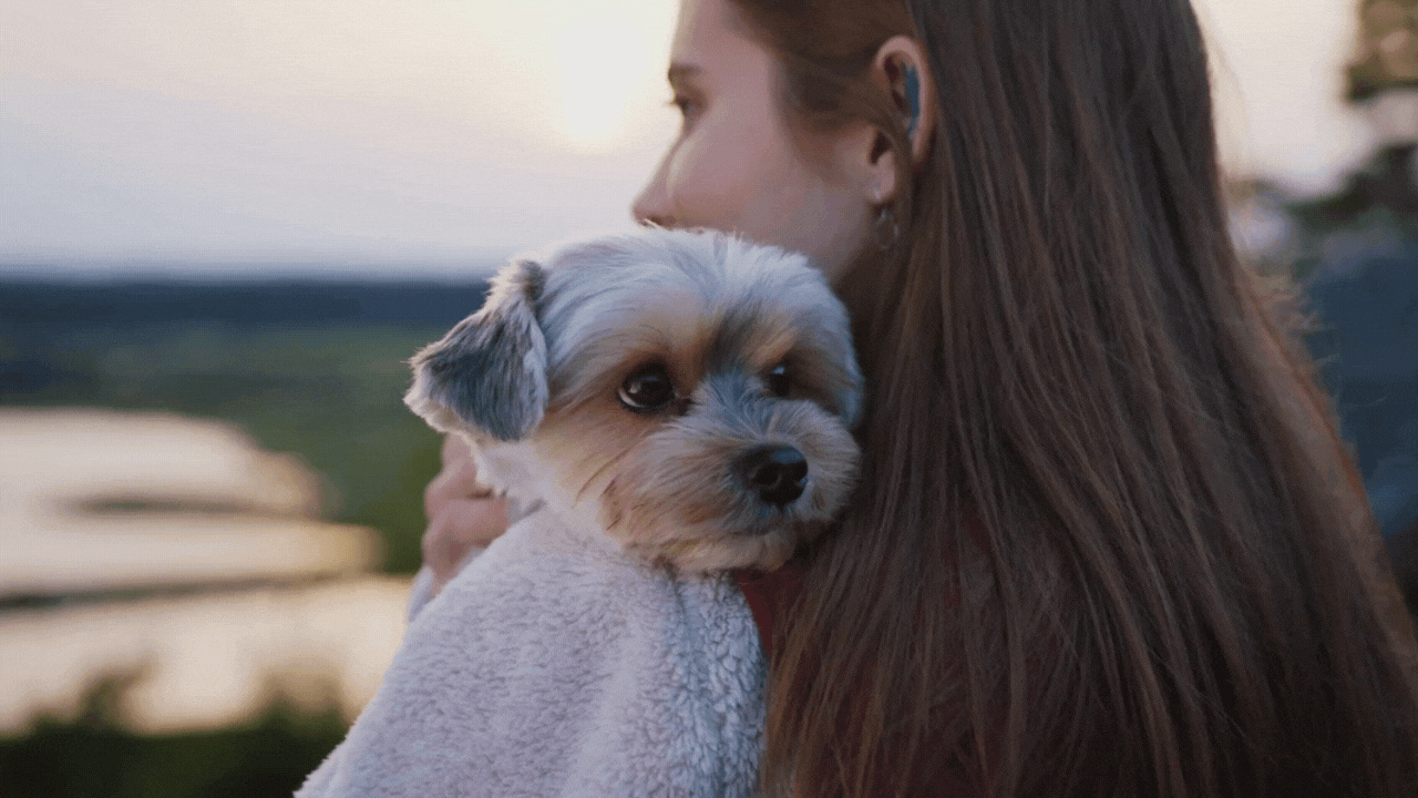 The Mental Benefits of Having a Pet: How Pets Help Us Cope with Stress and Boost Wellbeing