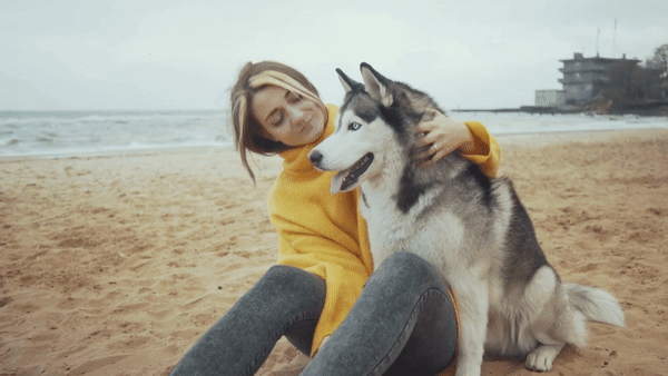 Senior Pet Care Tips: Ensuring a Healthy, Happy Life for Your Aging Companion