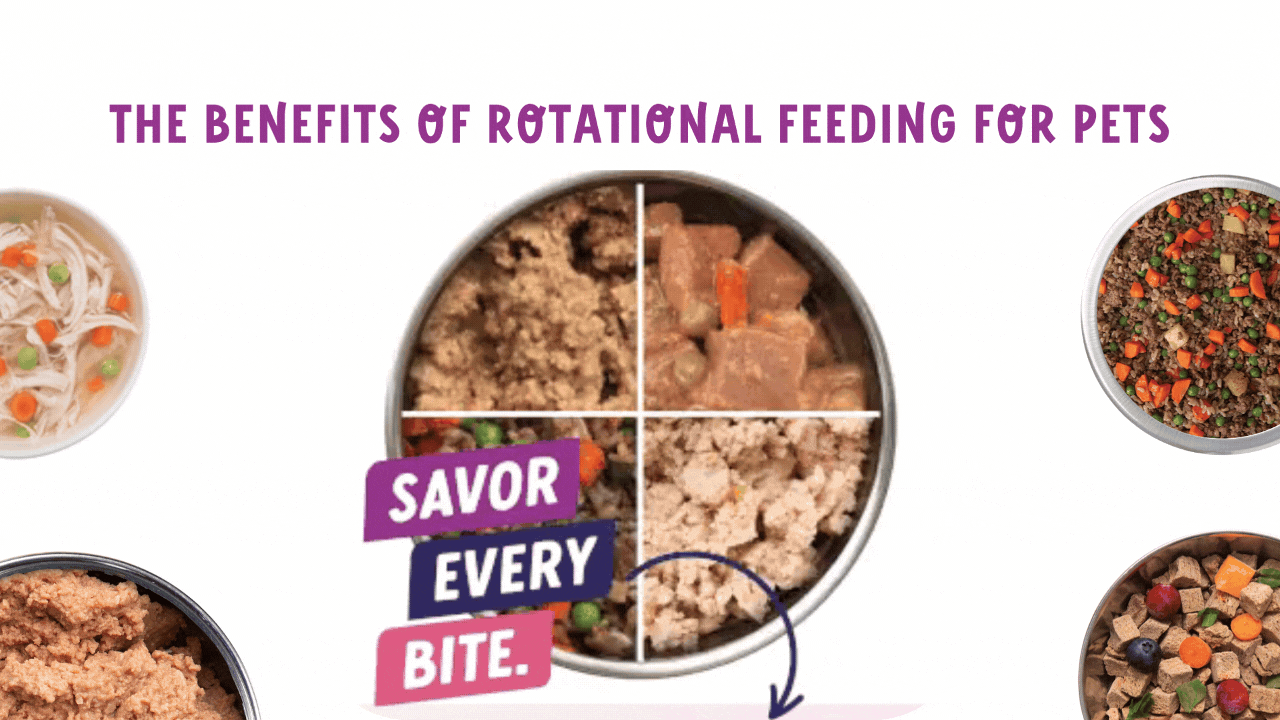 The Benefits of Rotational Feeding for Pets