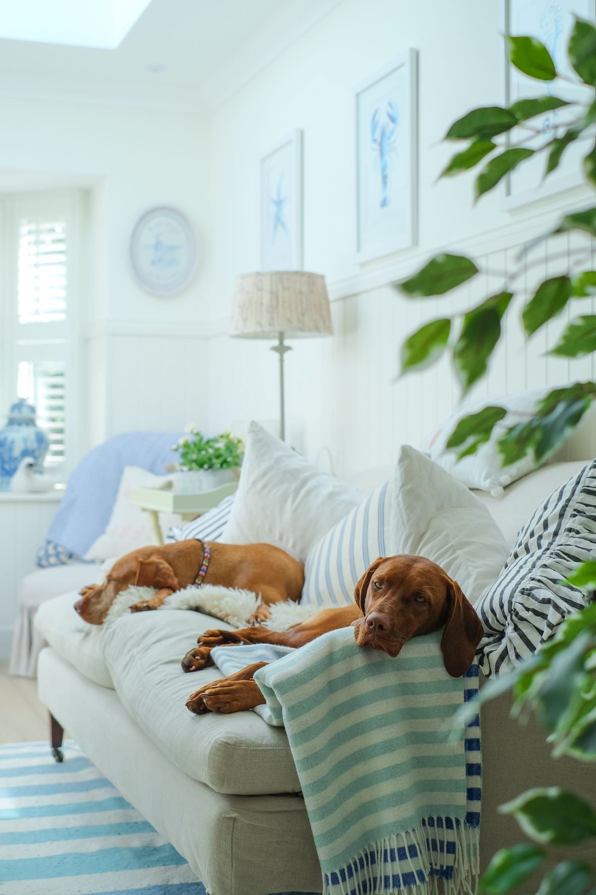 4 Pet-Friendly Brands for Spring Cleaning