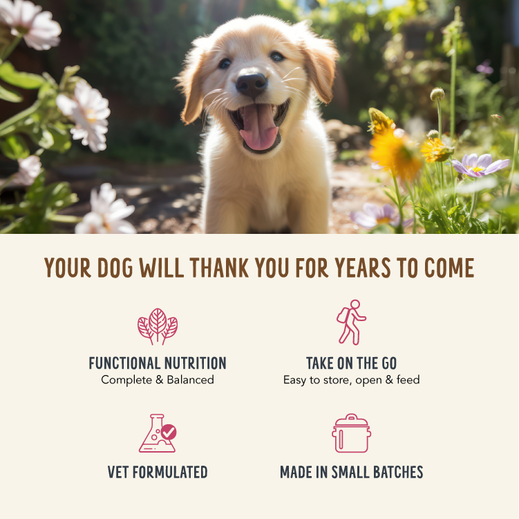 Three packs of Health Extension Broth-Licious Sampler Pack dog food are shown, including the Beef & Green Bean "Vitality" recipe. The adult variety pack overlaps, with packages featuring colorful vegetables on display.