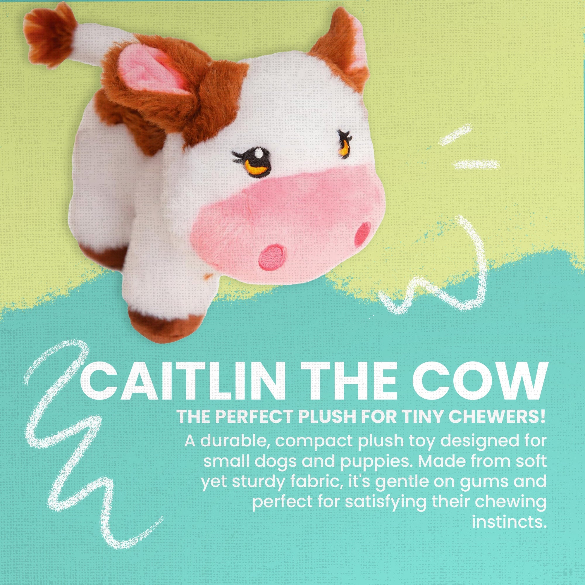 Caitlin the Cow