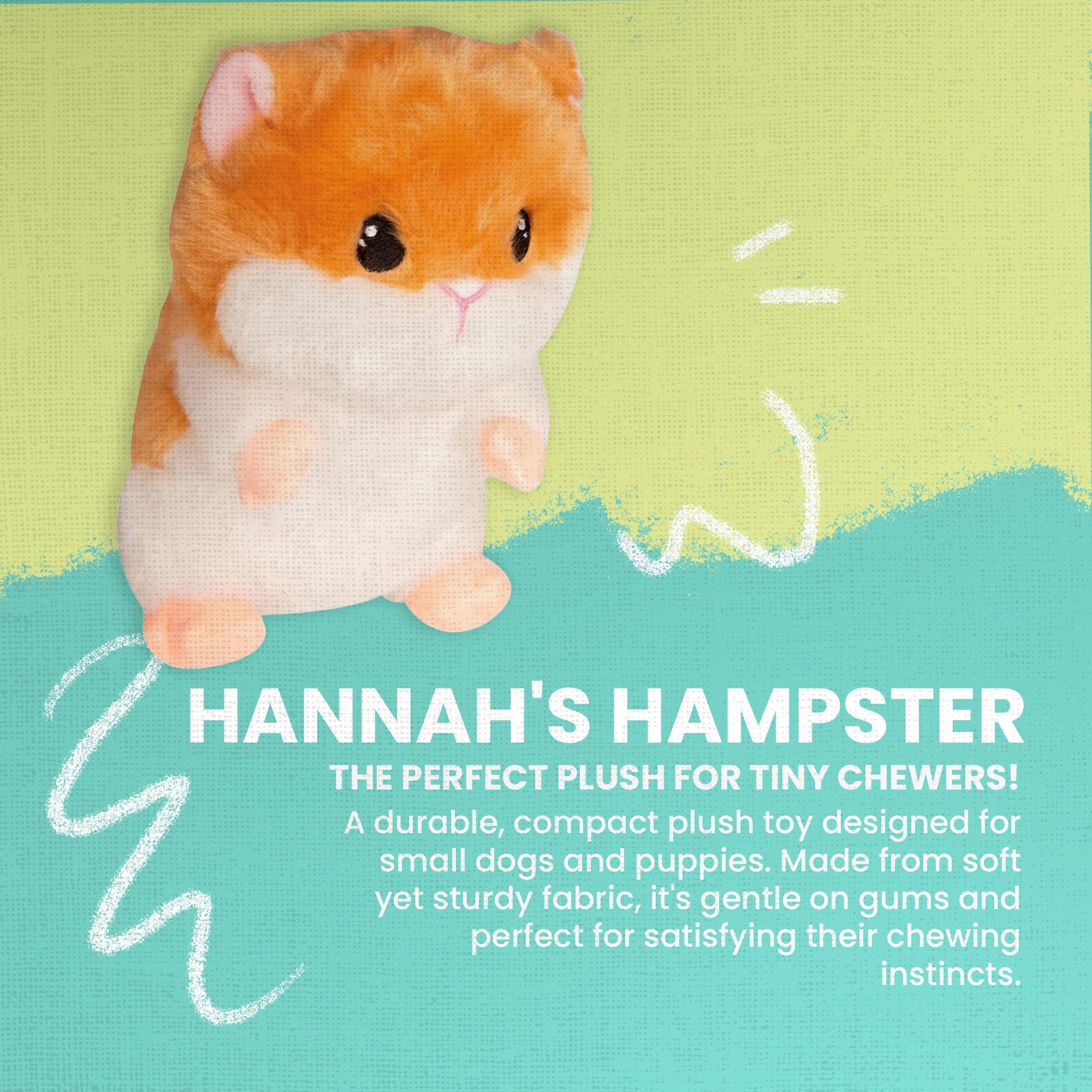 Hannah's Hampster