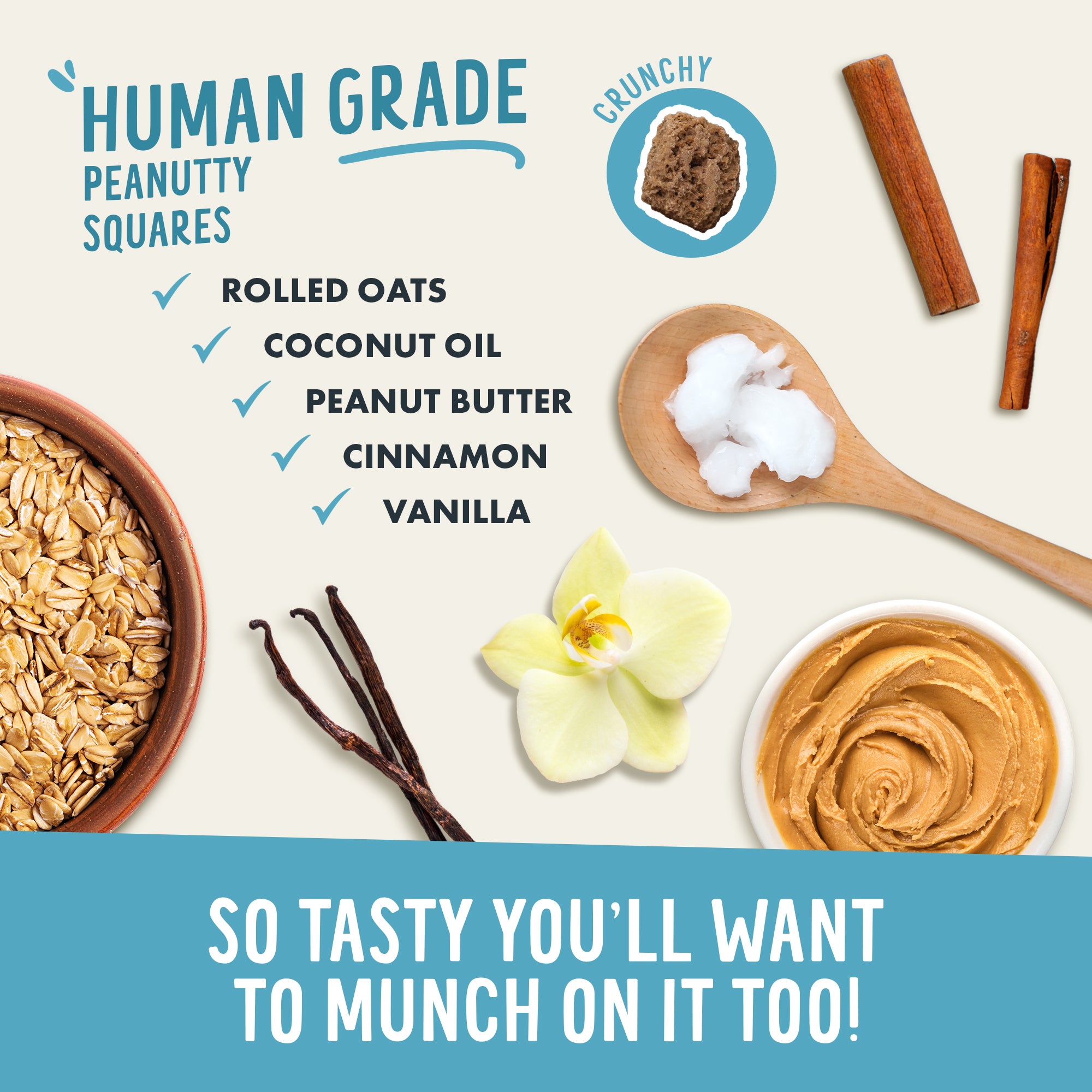 Health Extension Crunchy Munchies Granola Bites-Peanutty Squares are made with rolled oats, coconut oil, peanut butter, cinnamon sticks, and vanilla beans for a tasty dog treat of human-grade quality.