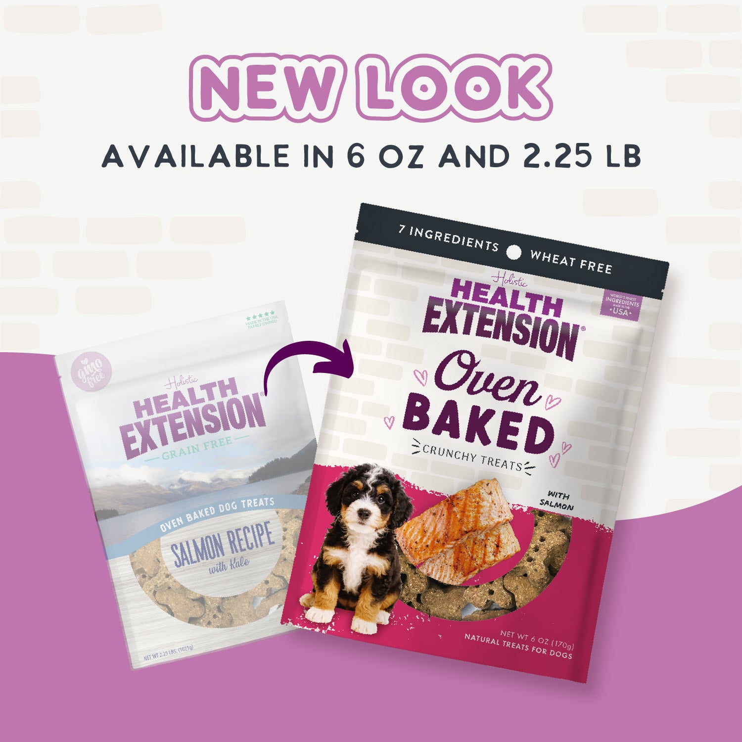 A bag of Health Extension Oven Baked Salmon Treats for dogs, with a puppy photo and salmon pieces on the packaging, highlights these wheat-free, oven baked dog treats made with real salmon.