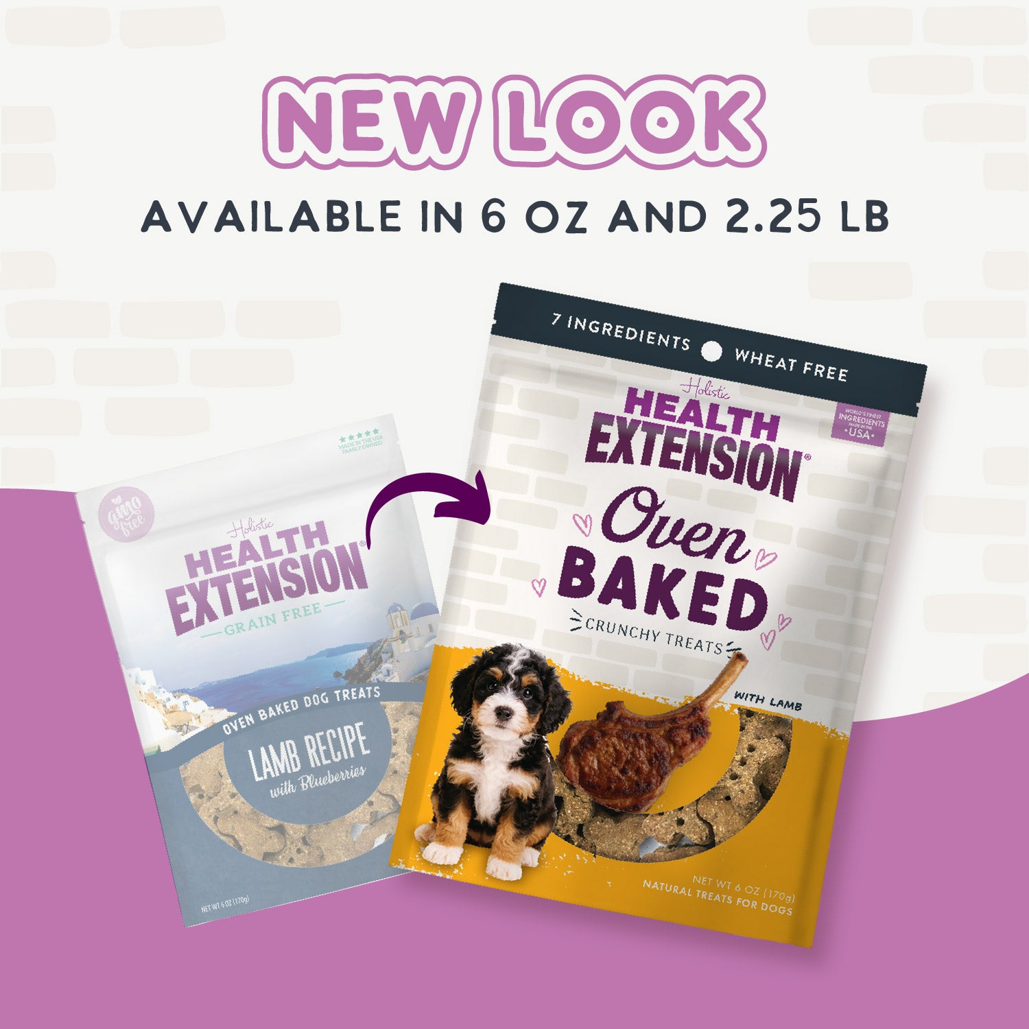 Health Extension Oven Baked Lamb Treats are wholesome, wheat-free dog snacks with only 7 ingredients. The bag features a puppy, lamb chop, and treats on the front—perfect for dogs who love lamb!.