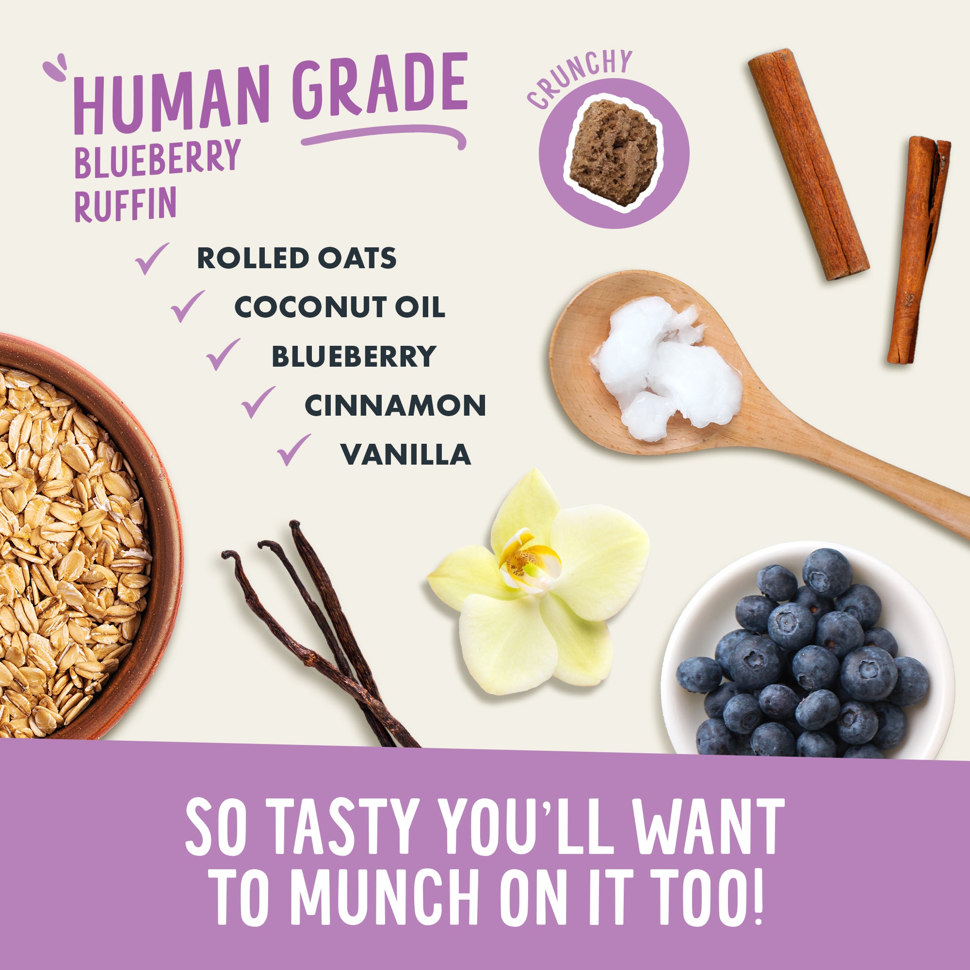 A promotional image for Health Extension Crunchy Munchies Granola Bites-Blueberry Ruffin features rolled oats, coconut oil, blueberries, cinnamon sticks, vanilla beans, and a vanilla flower. Text reads: So tasty you’ll want to munch on these dog treats too!.