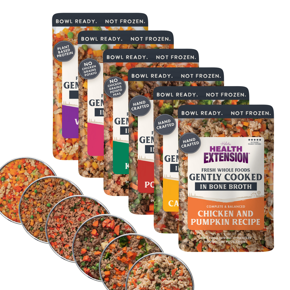 Eight pouches from the Health Extension Gently Cooked 3oz Variety Pack are displayed in a row, each labeled "Gently Cooked in Bone Broth" with circular windows revealing the superfood dog meals inside.