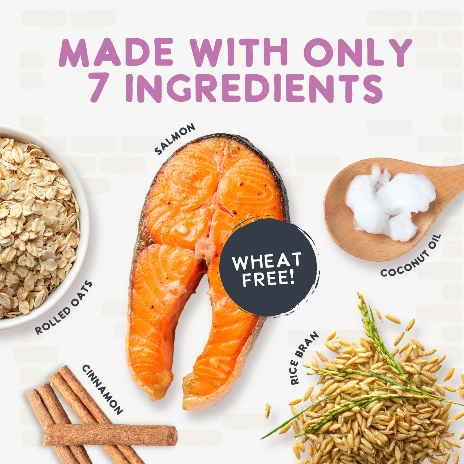 A bag of Health Extension Oven Baked Salmon Treats for dogs, with a puppy photo and salmon pieces on the packaging, highlights these wheat-free, oven baked dog treats made with real salmon.