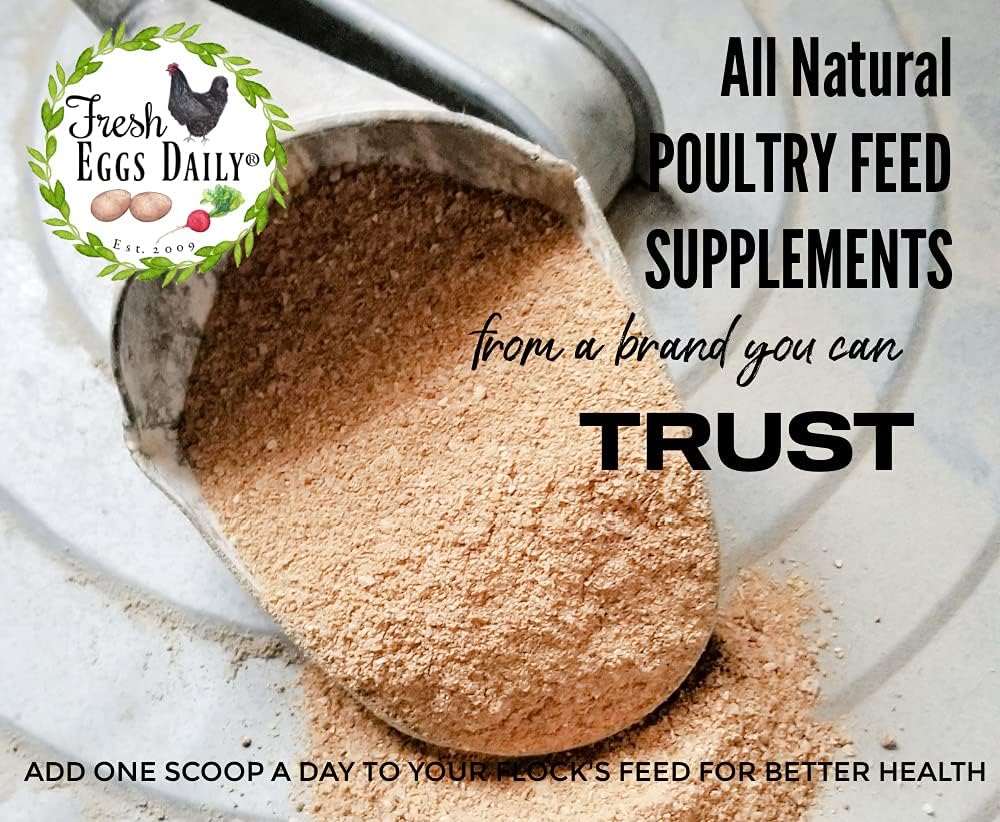 A container of Fresh Eggs Daily Shop Fresh Eggs Daily Poultry Probiotics Balanced Mix Chicken & Duck Supplement features chicken and duck illustrations and is labeled for digestive support, stress relief, and natural immunity for chicks, chickens, and ducks.