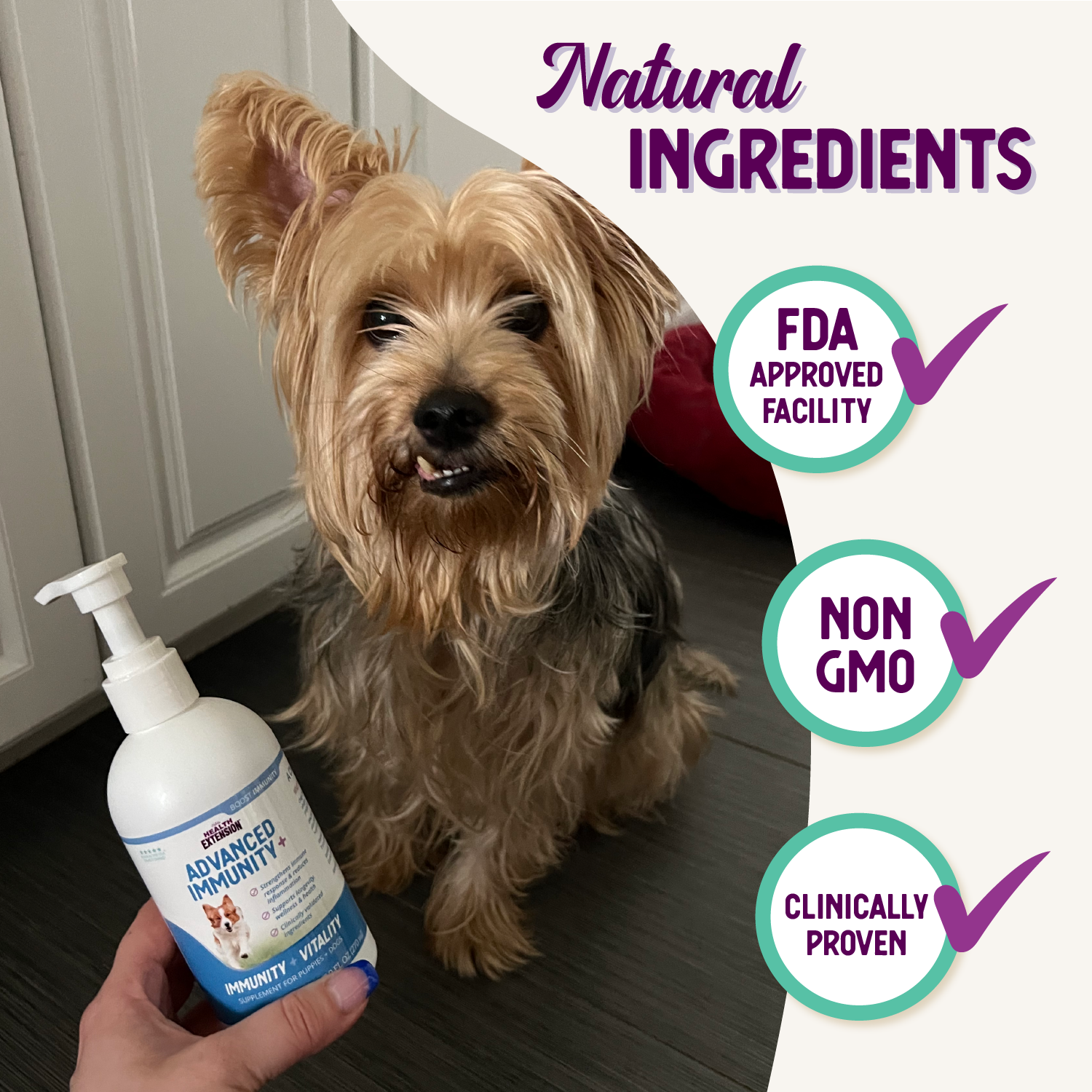 A bottle and box of Health Extension Advanced Immunity+ supplement for dogs, featuring a happy dog running and text highlighting immunity and vitality. Packaging is white and blue with purple and teal accents.