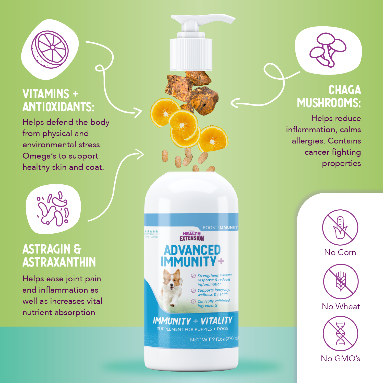 A bottle and box of Health Extension Advanced Immunity+ supplement for dogs, featuring a happy dog running and text highlighting immunity and vitality. Packaging is white and blue with purple and teal accents.