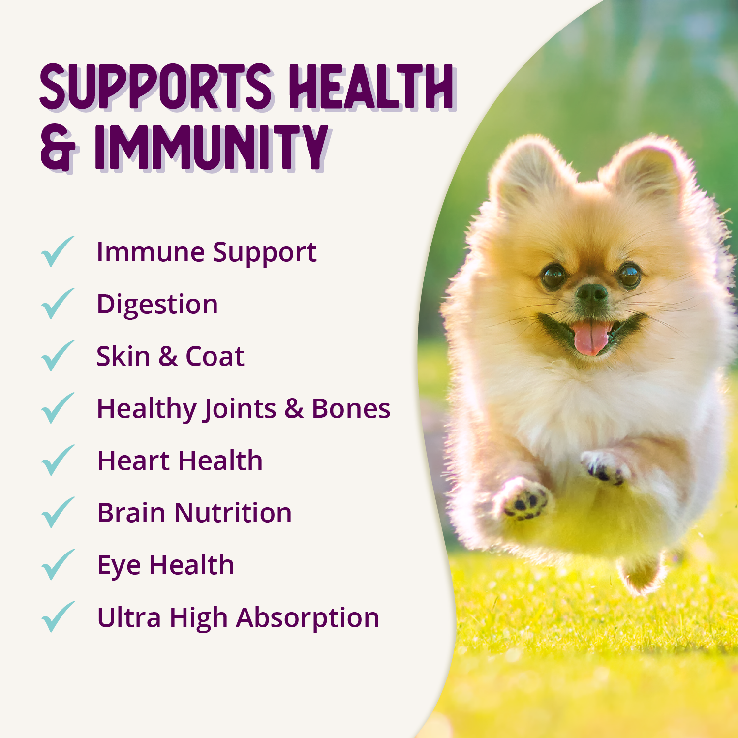 Advanced Immunity Supports Health & Immunity