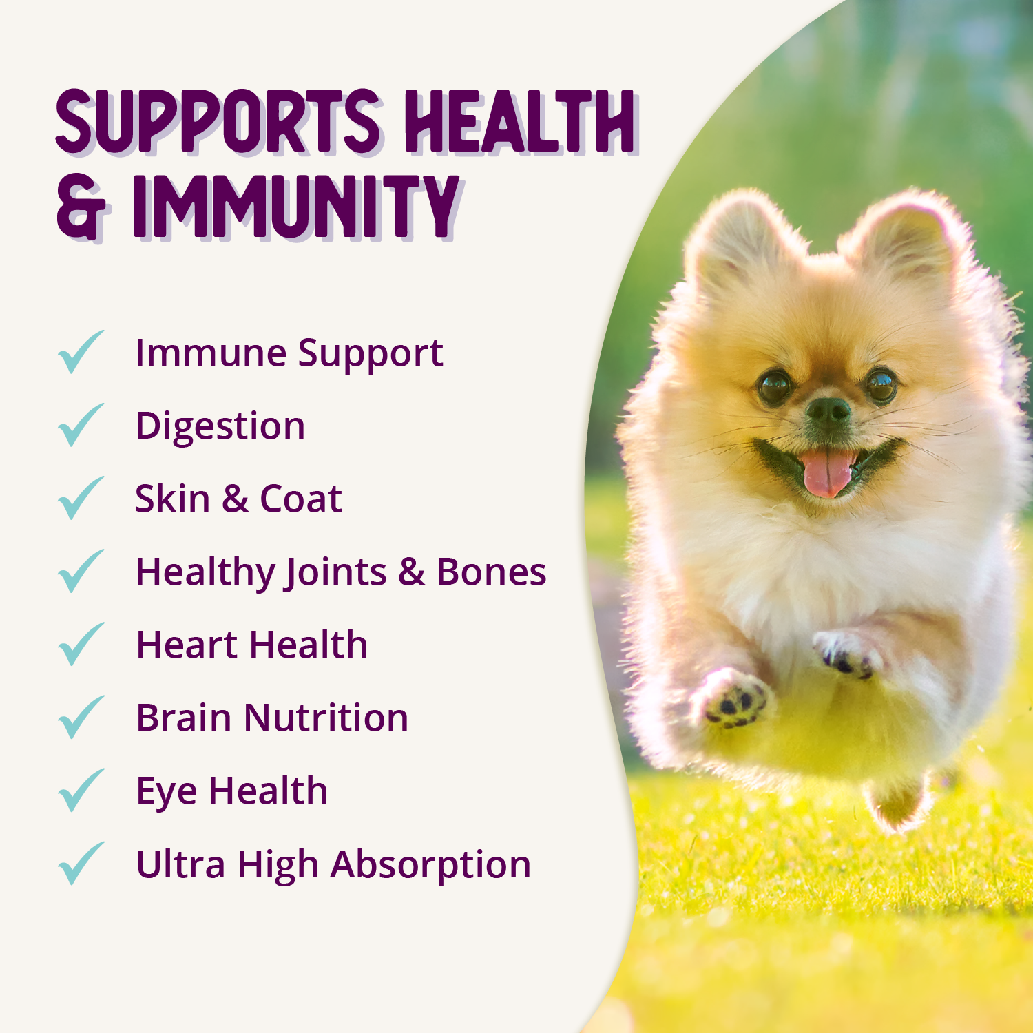 A bottle and box of Health Extension Advanced Immunity+ supplement for dogs, featuring a happy dog running and text highlighting immunity and vitality. Packaging is white and blue with purple and teal accents.