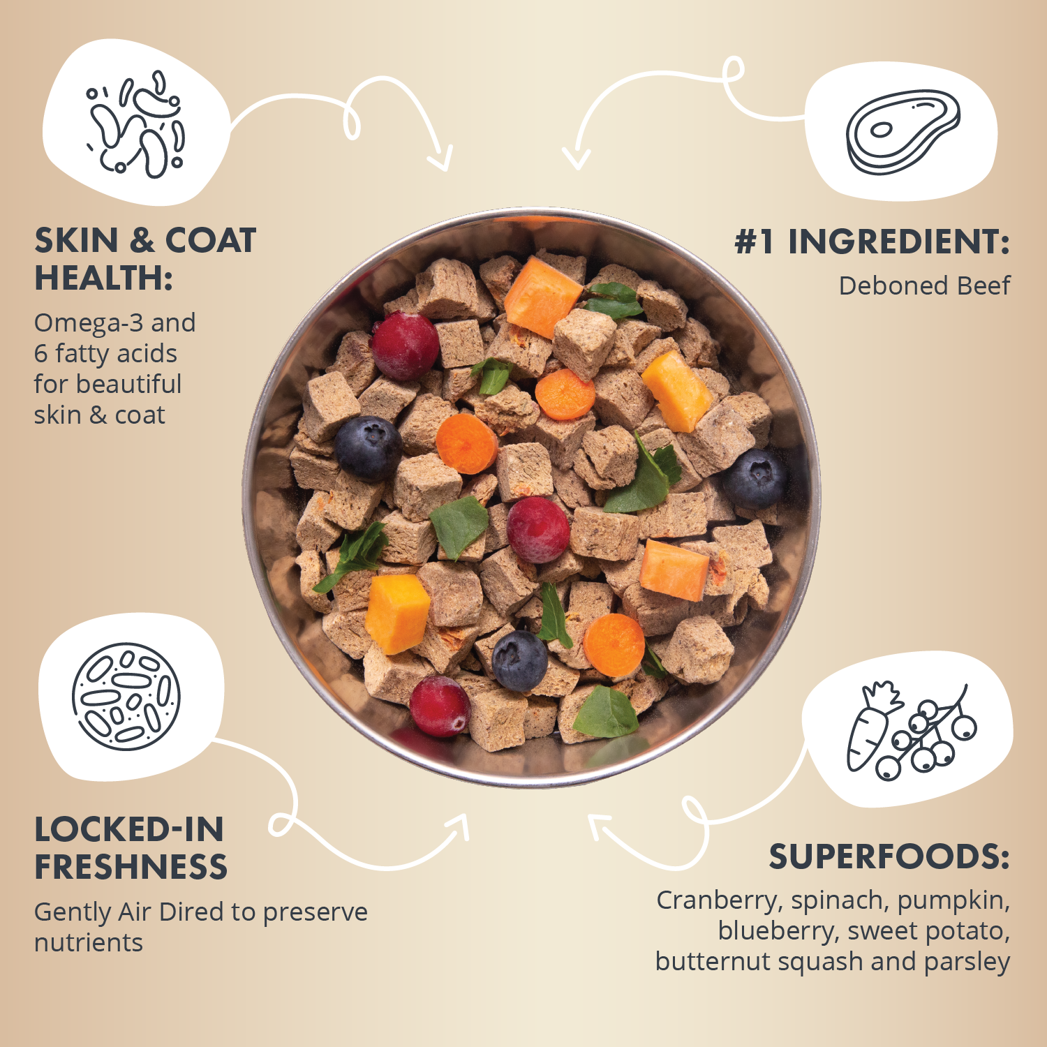 Bowl of Health Extension air-dried dog food with beef as the #1 ingredient, enriched with superfoods like cranberry and spinach, and omega fatty acids for skin and coat health, highlighting the locked-in freshness and nutrient preservation.