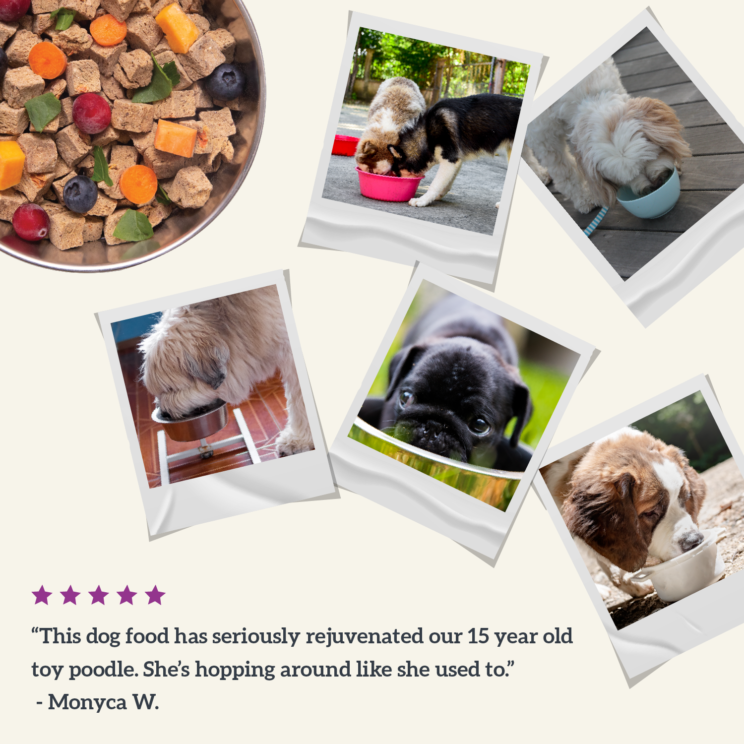 Collage of dogs enjoying Health Extension dog food, with testimonial from Monyca W.