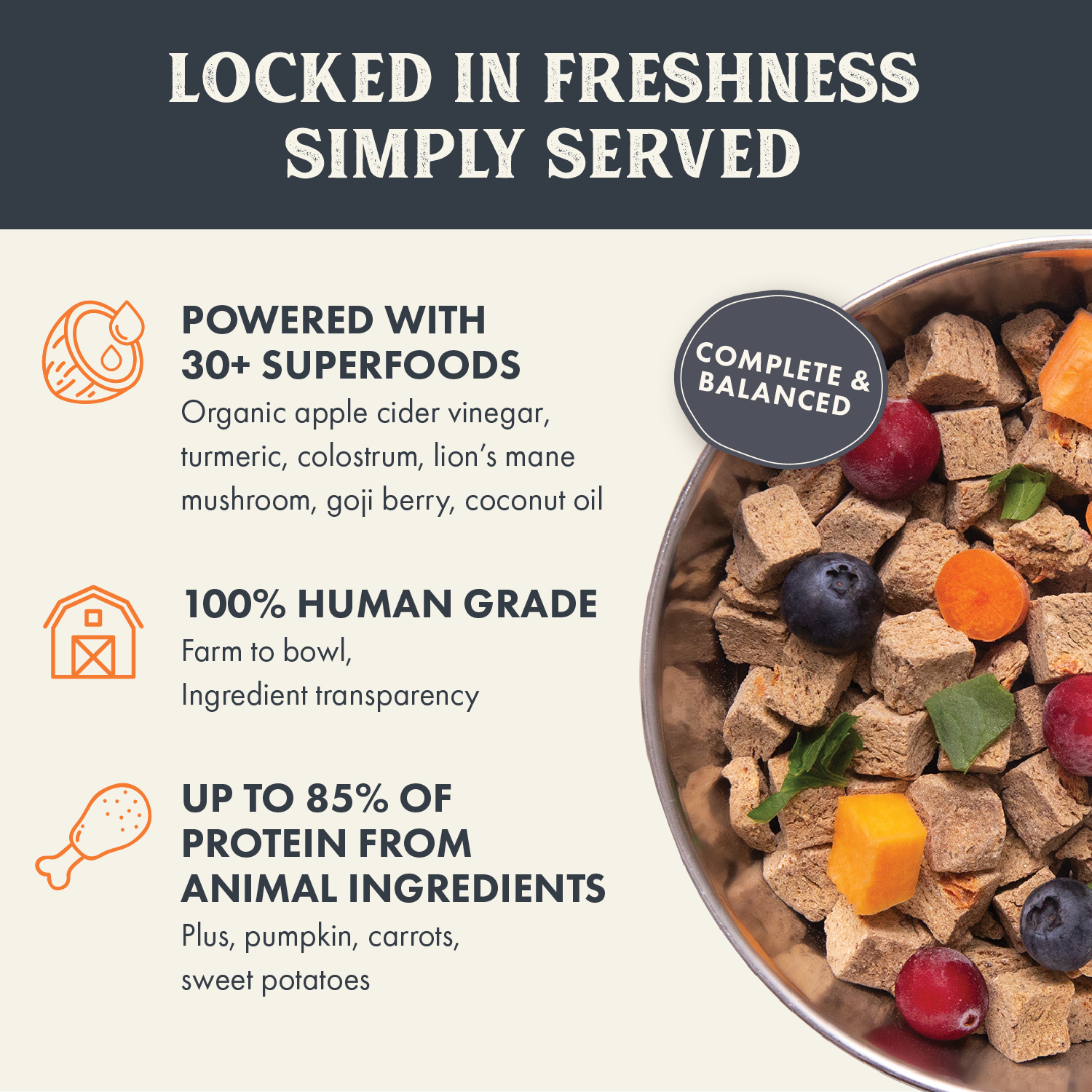 Health Extension Air Dried dog food highlighting freshness, with 'Powered with 30+ Superfoods' including organic ingredients and '100% Human Grade' assurance, boasting up to 85% protein from animal sources.