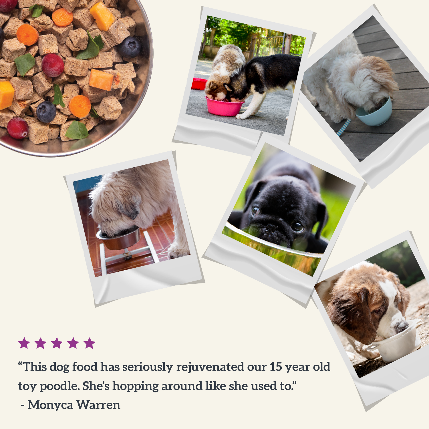 Collage of dogs enjoying Health Extension Air Dried dog food, with testimonial