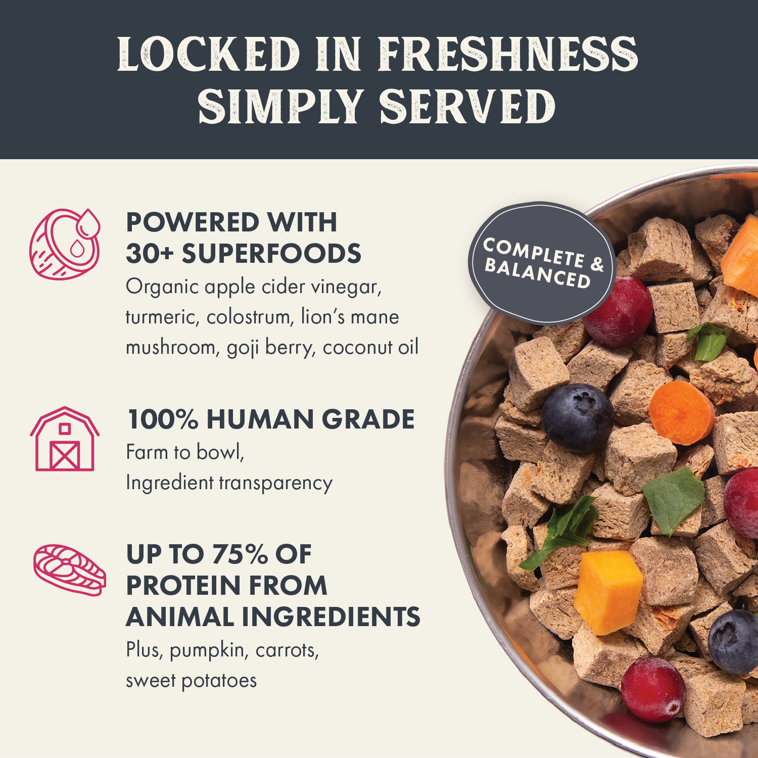 Infographic highlighting the nutritional benefits of Health Extension Grain Free Gently Air Dried Salmon Recipe dog food, emphasizing high protein content, inclusion of over 30 superfoods