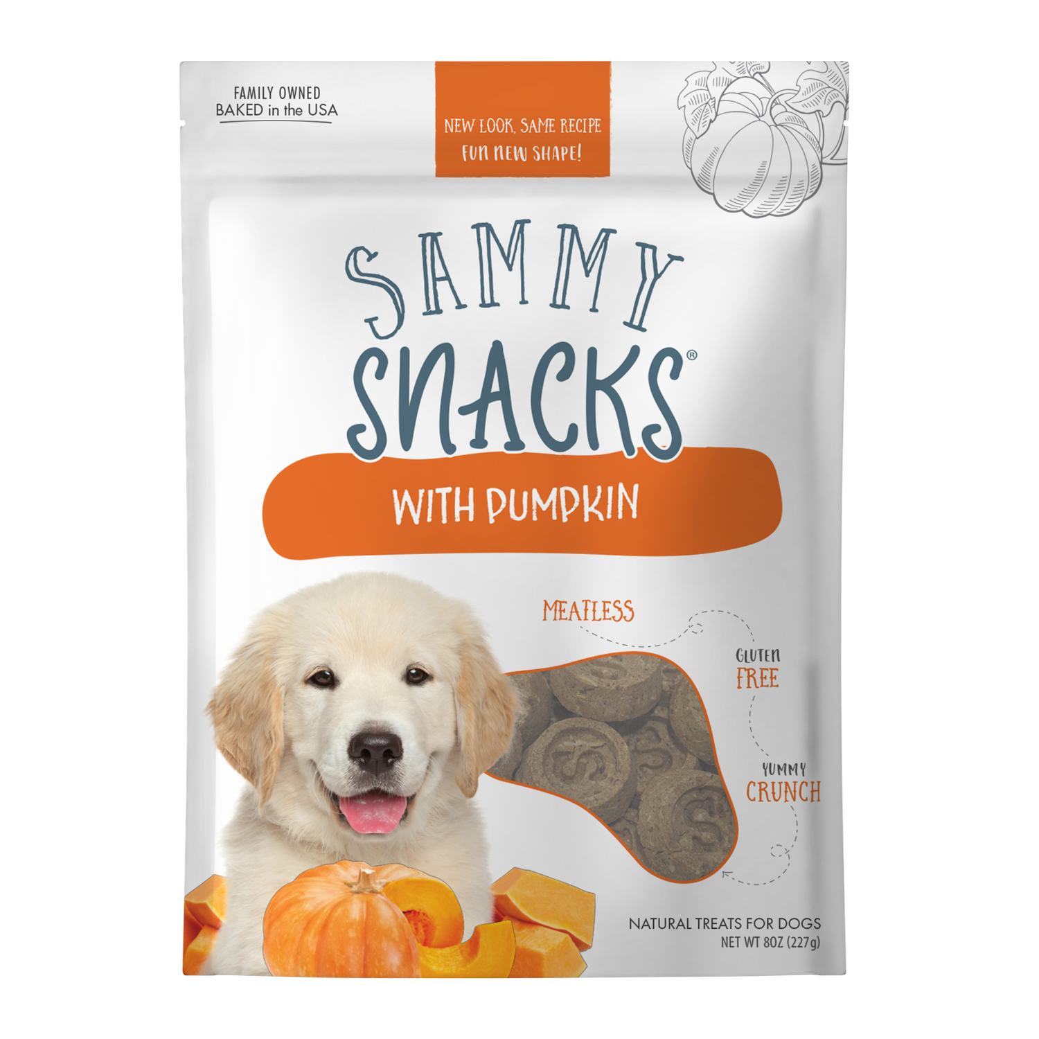 Fall Adventure Dog Care Bundle