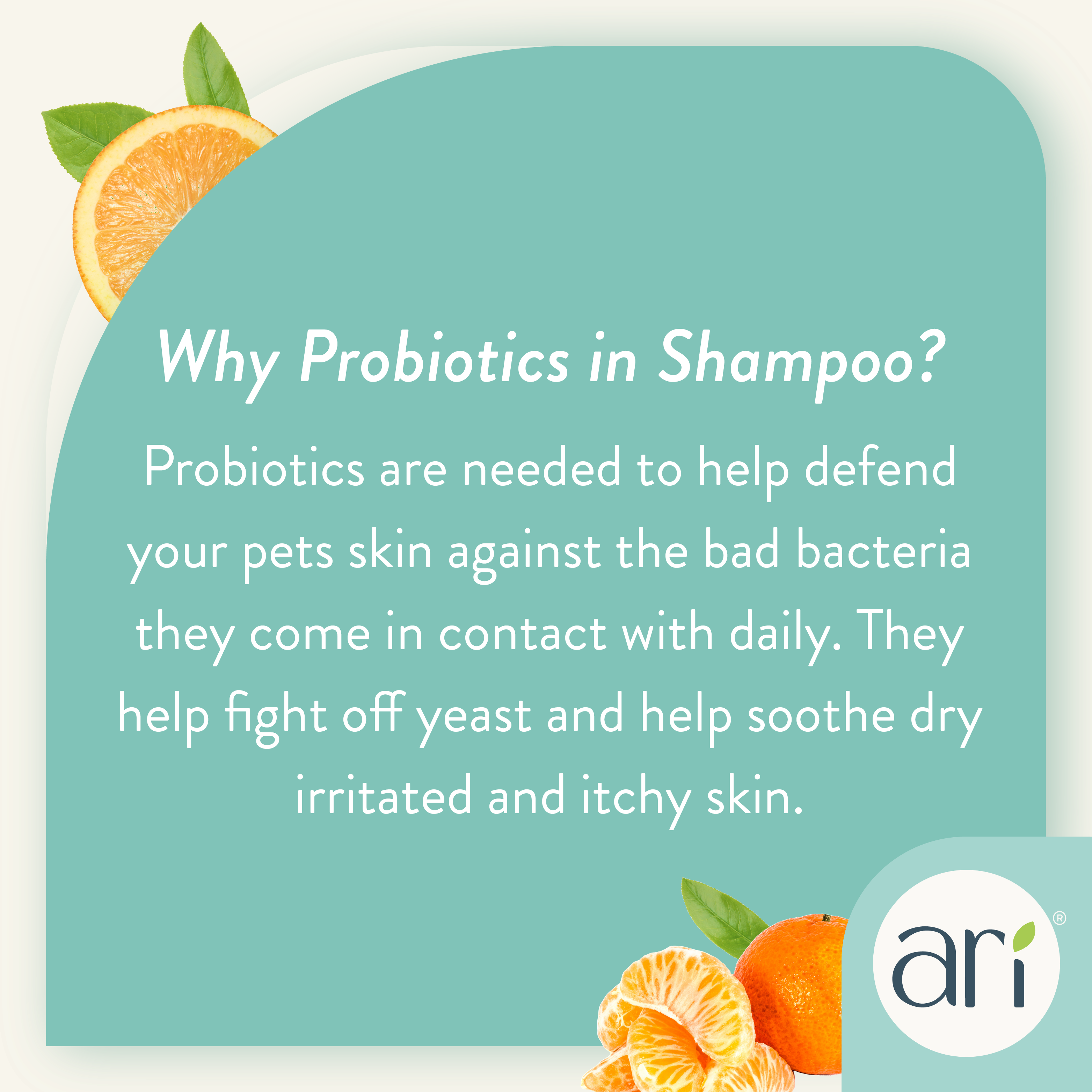 A 16 fl oz bottle of Health Extension ARI Probiotic 2 in 1 Shampoo + Conditioner for dogs in teal and white, features green tea and mandarin, with natural conditioner benefits and leaf illustrations.