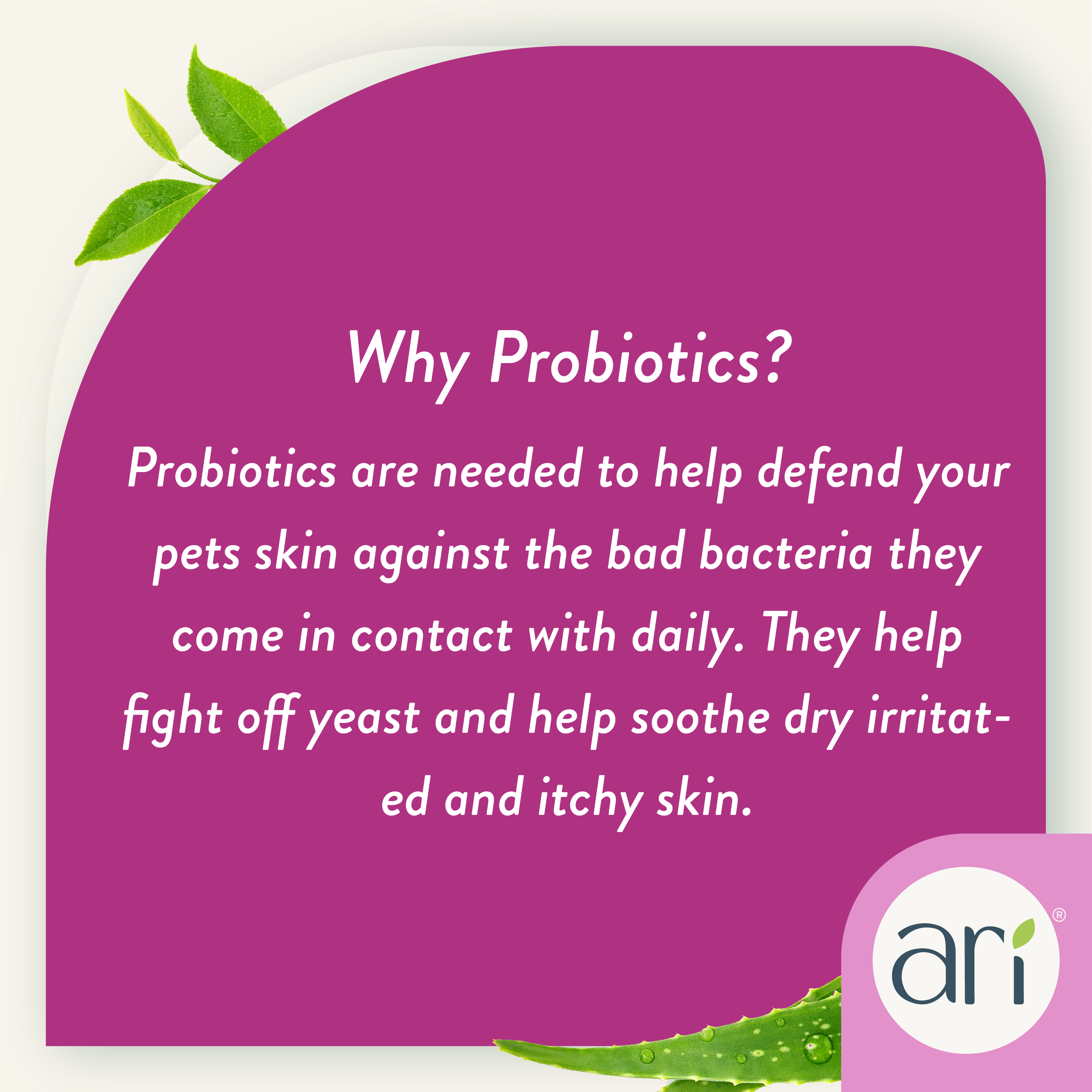 An 8 fl oz (236 mL) white spray bottle of ARI Probiotic Anti-Itch Spray by Health Extension, made with aloe and tea tree for soothing, refreshing natural dog skin care.