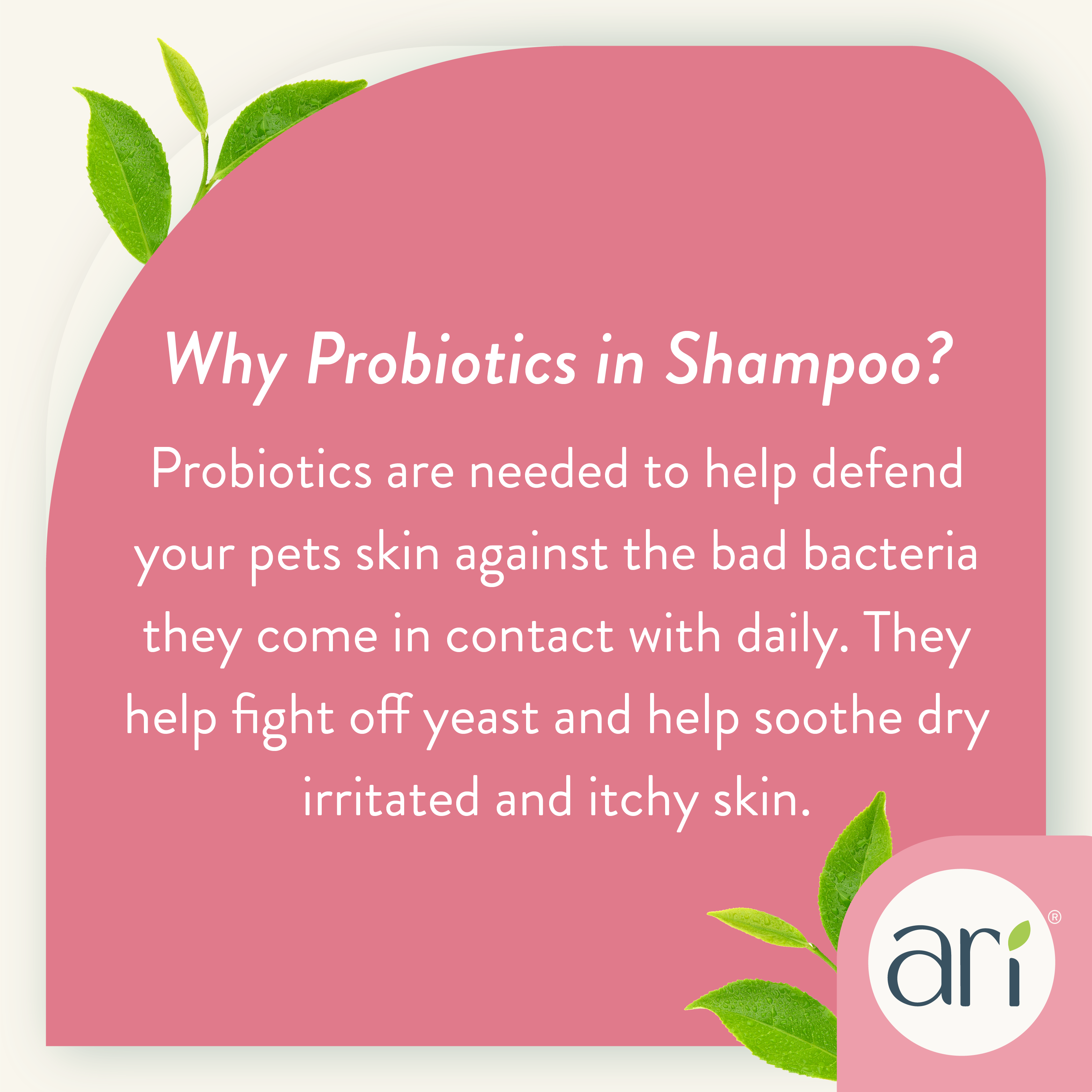 A bottle of Health Extension ARI Probiotic Flea & Tick Shampoo, with a pink and white label, uses natural ingredients to help repel and prevent fleas and ticks.
