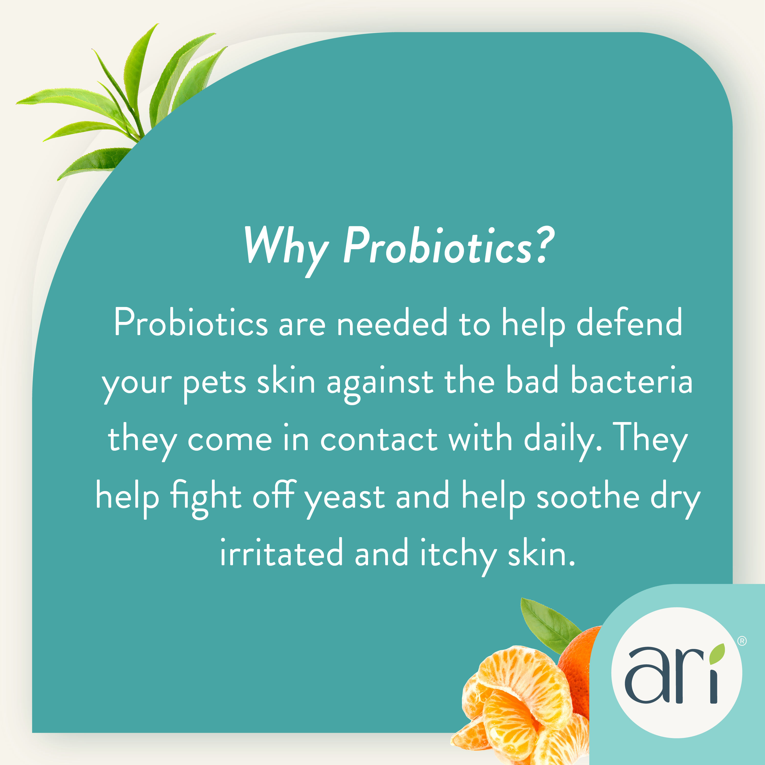 A white spray bottle of Health Extension ARI Probiotic Deodorizer Spray – GREEN TEA + MANDARIN for dogs, 8 fl oz (236 mL), features a teal and white label with leaf designs and cruelty-free pet grooming details.