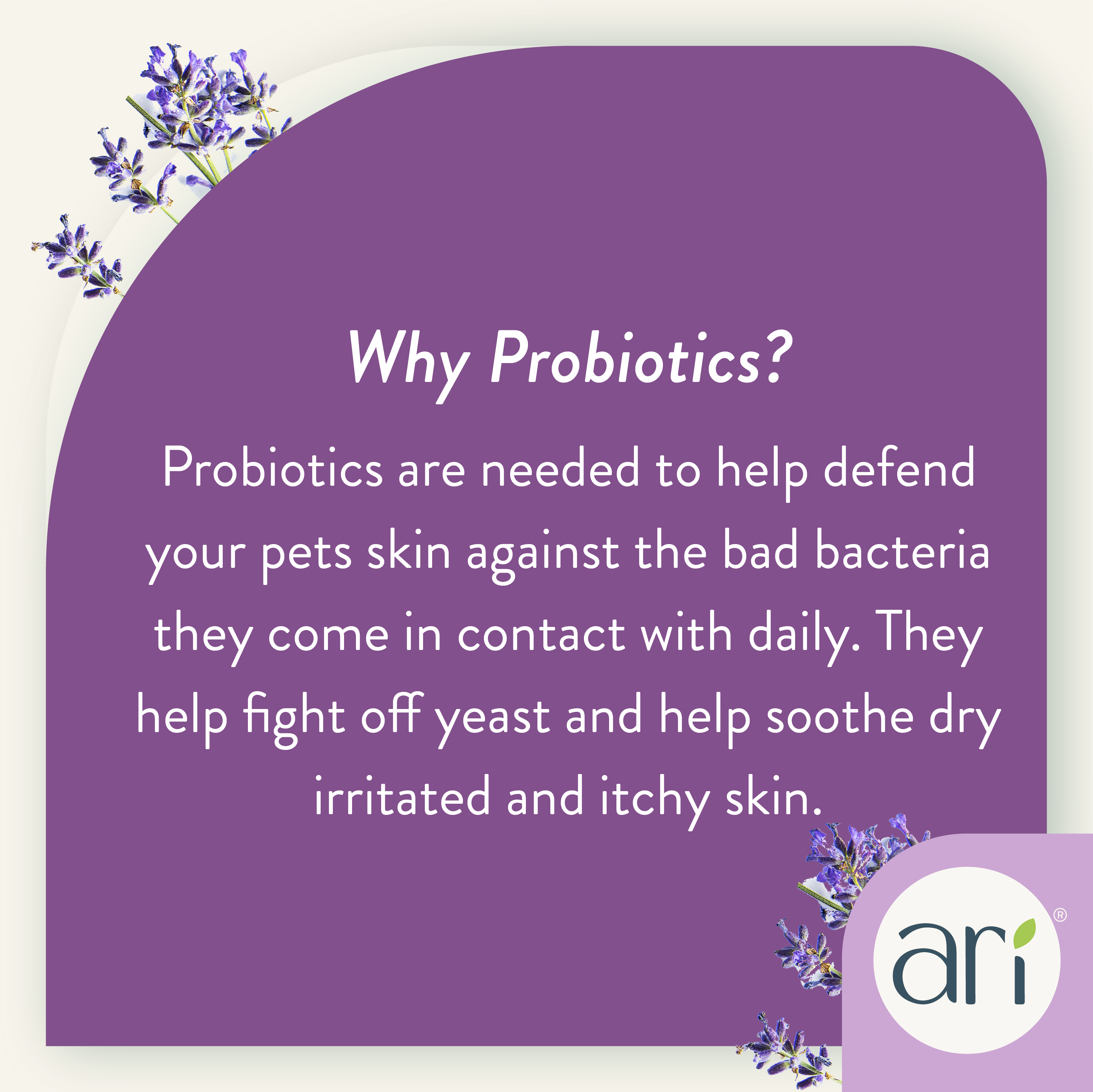A white spray bottle with a purple label reads “Health Extension ARI Probiotic Deodorizer Spray – LAVENDER + EUCALYPTUS, For Dogs, 8 fl oz (236 mL),” showcasing icons and text about all-natural refreshing and cleansing for dogs.
