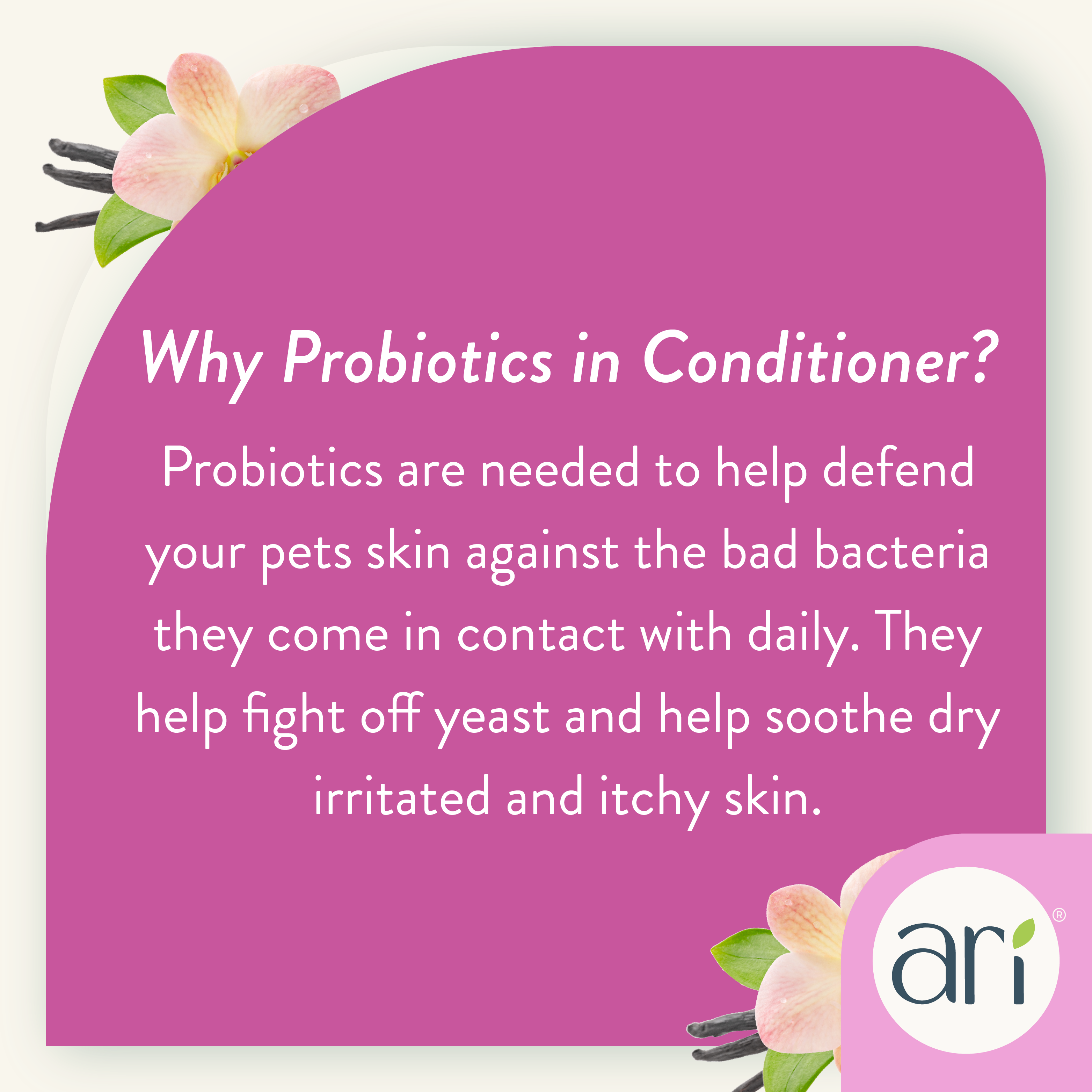 A 16 fl oz bottle of Health Extension ARI Probiotic Puppy Conditioner, vanilla + almond scent. This all-natural, pH-balanced puppy conditioner gently moisturizes and is ideal for puppies with delicate skin and coats.