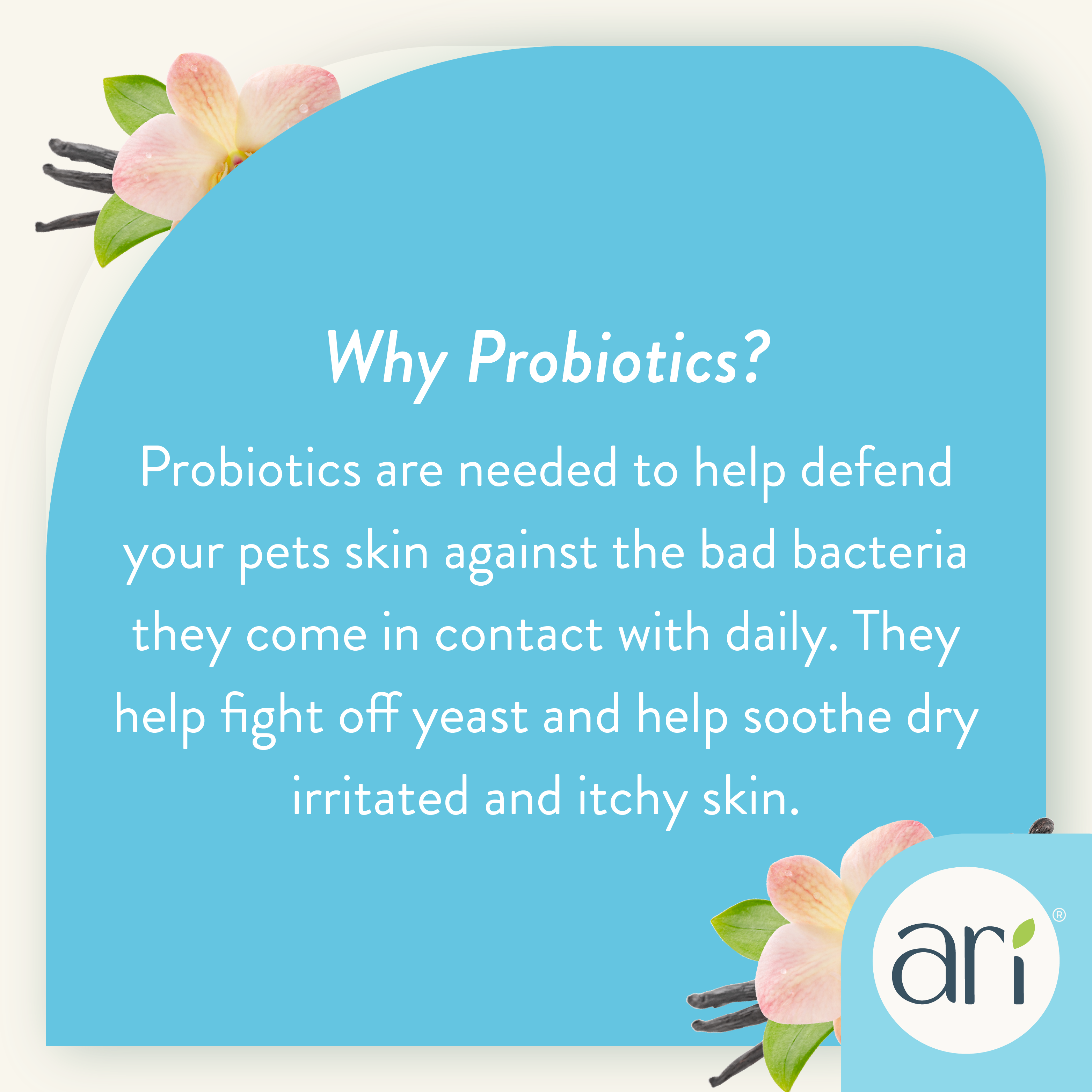 A white spray bottle labeled Health Extension ARI Probiotic Deodorizer Spray – VANILLA + ALMOND for dogs, in a blue and cream design, refreshes, cleanses, and provides itch relief. Net weight: 8 fl oz (236 ml).