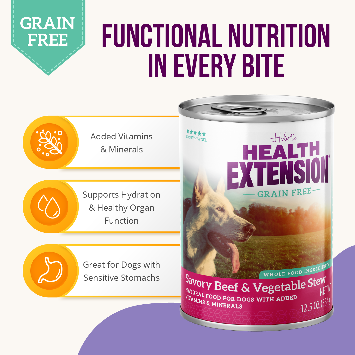 Twelve cans of Health Extension Grain Free Savory Beef Stew, each 12.5 oz, are arranged in rows. The label has a dog and vegetables, offering a wholesome grain-free beef dog food option.