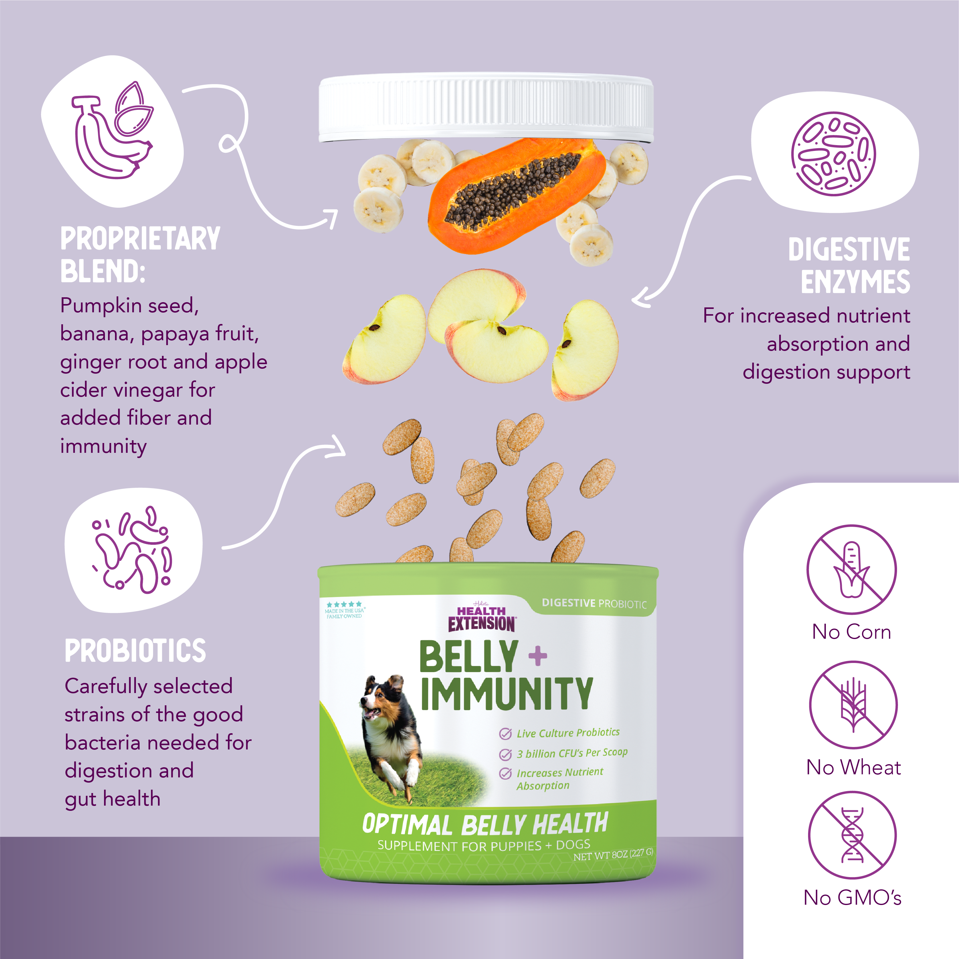 BELLY + IMMUNITY Digestive Probiotic Supplement