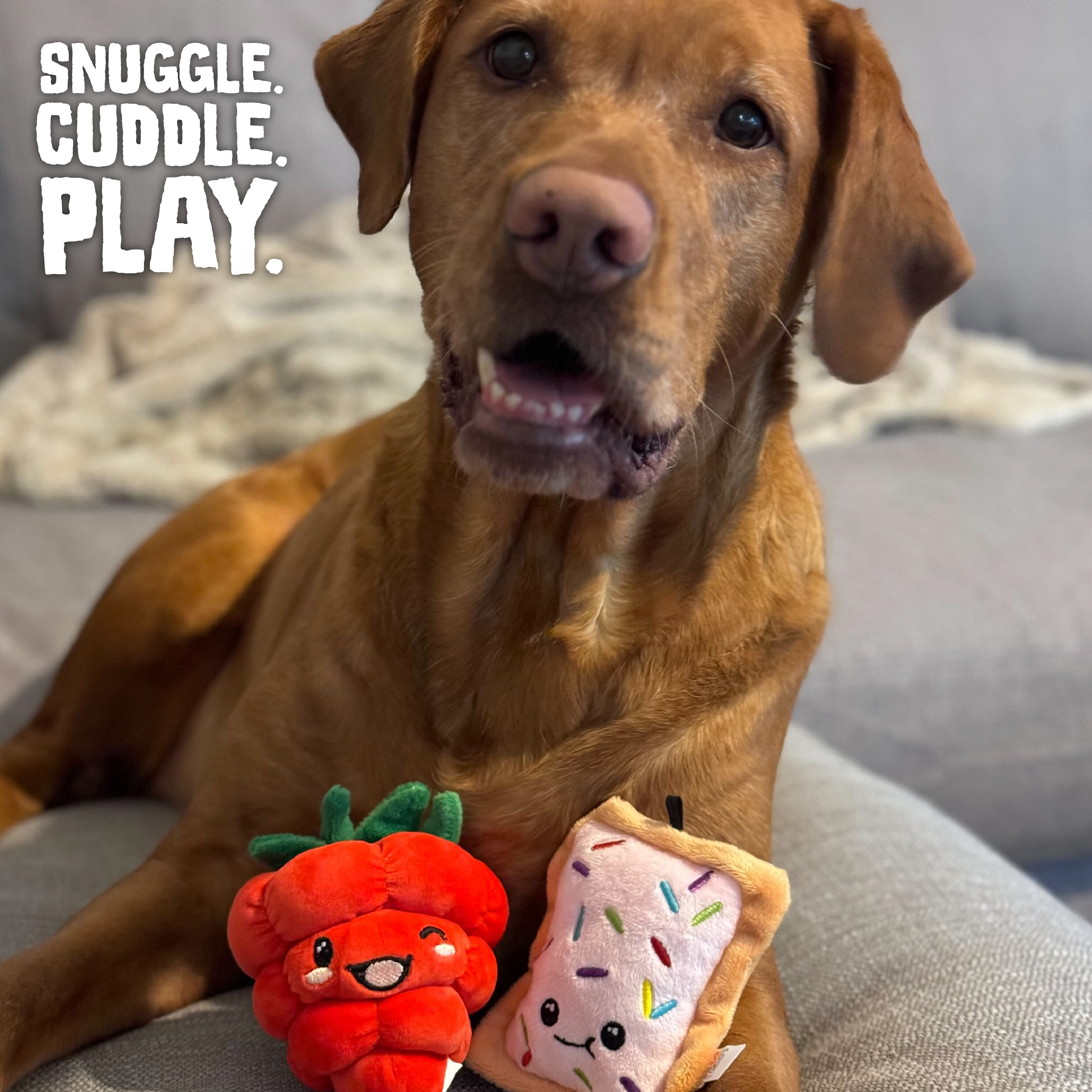 The Snugarooz Poptart and Raspberry 2pk features an eco-friendly plush dog toy set—a smiling pink-iced pastry and a cute red raspberry—perfect for hours of fun.