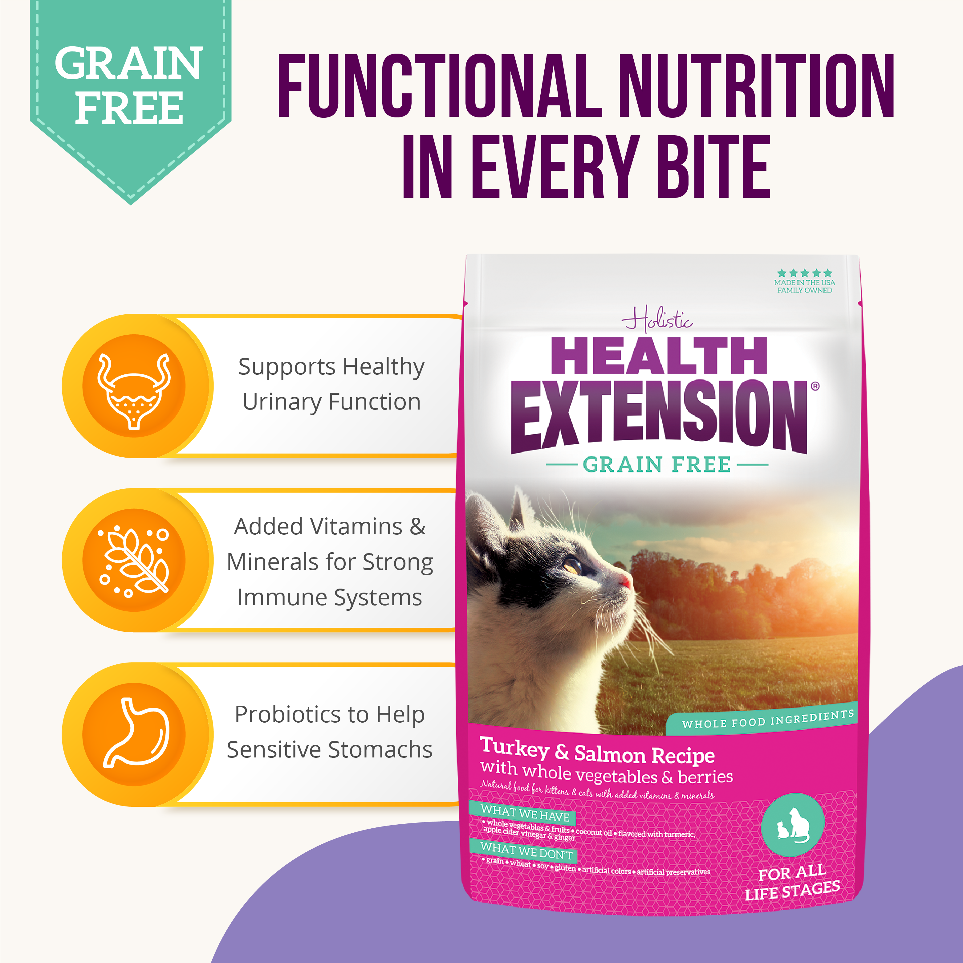 A bag of Health Extension Grain Free Turkey & Salmon Recipe dry cat food features a cat gazing upward at sunset; the pink and purple packaging with green accents showcases the benefits of this turkey and salmon formula.