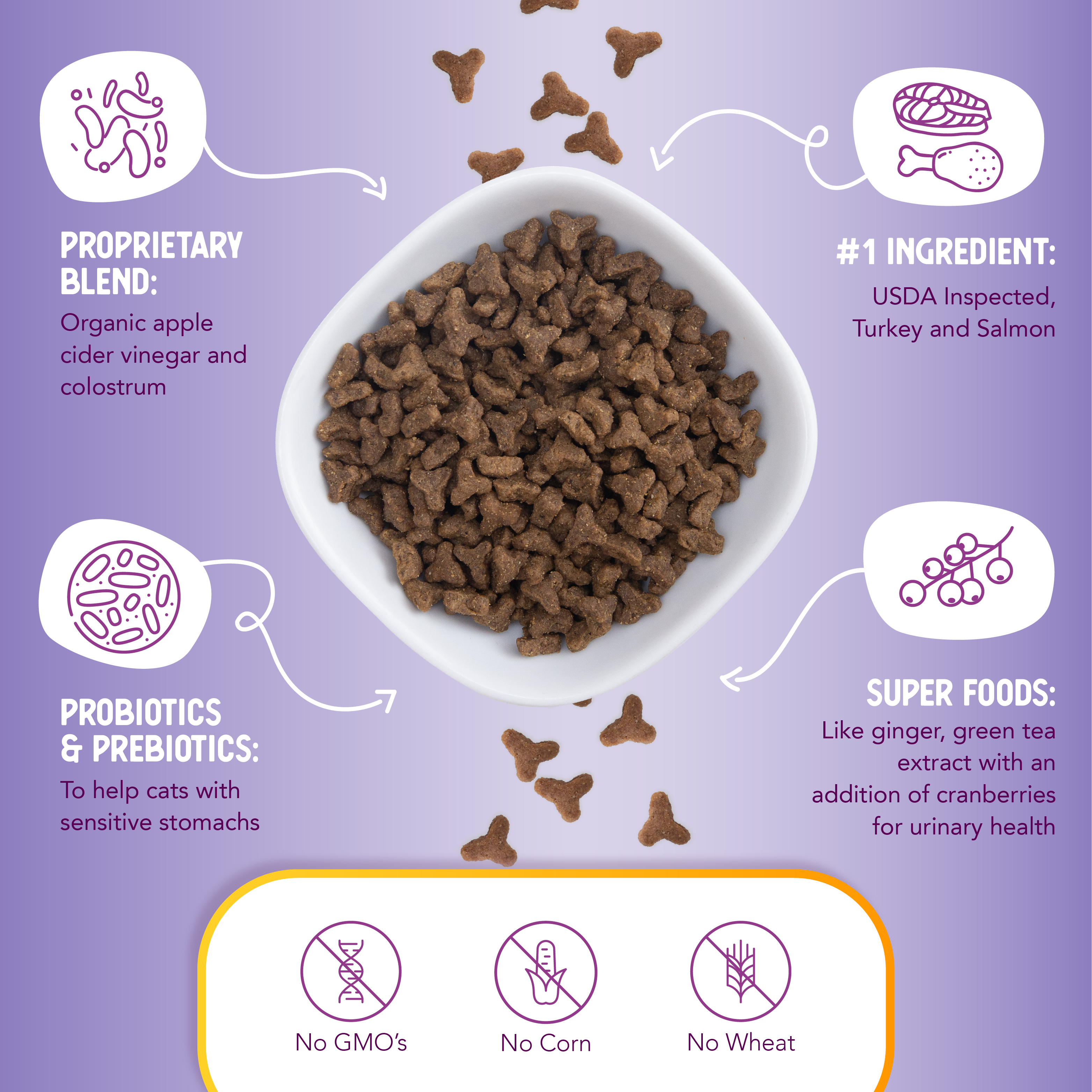 A bag of Health Extension Grain Free Turkey & Salmon Recipe dry cat food features a cat gazing upward at sunset; the pink and purple packaging with green accents showcases the benefits of this turkey and salmon formula.