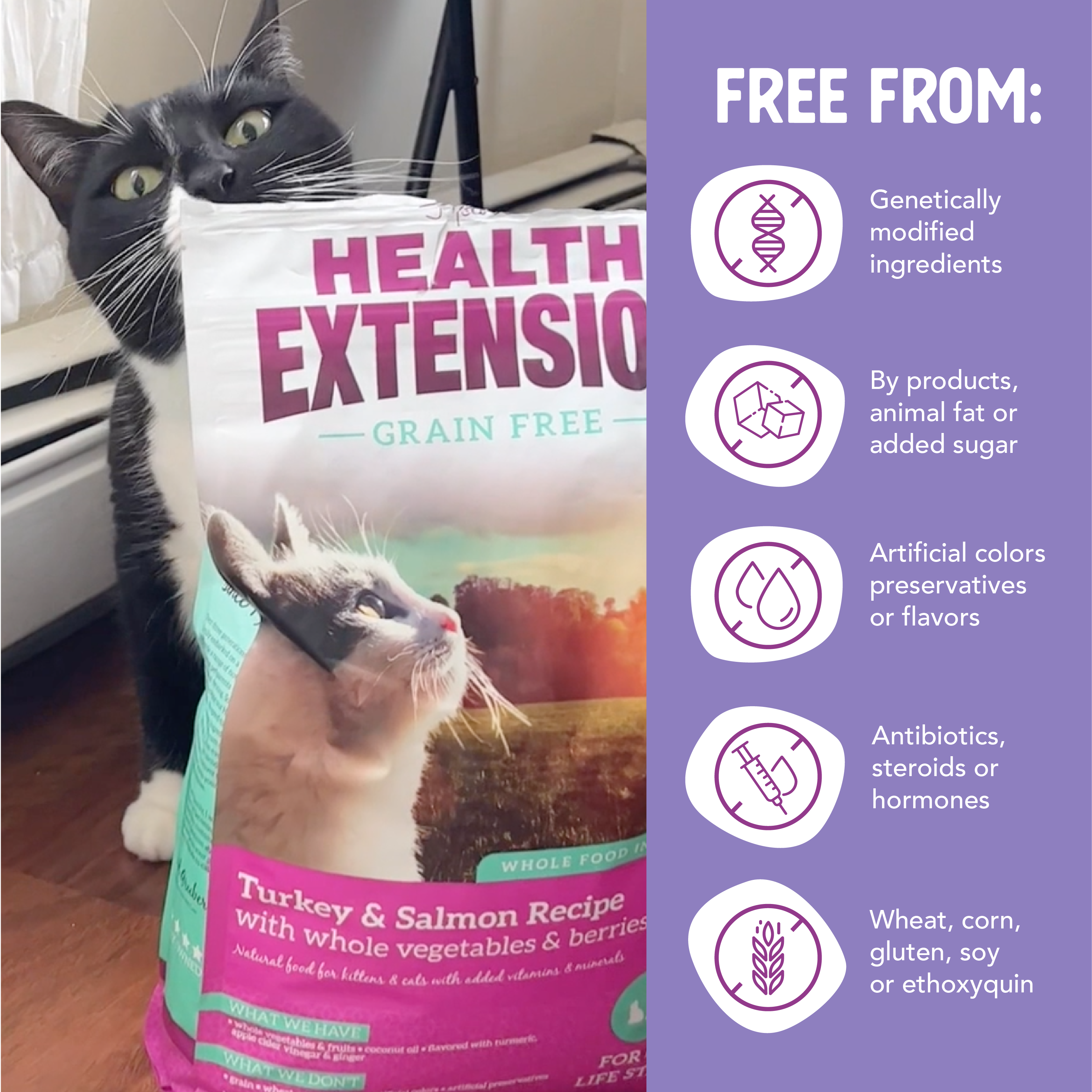 A bag of Health Extension Grain Free Turkey & Salmon Recipe dry cat food features a cat gazing upward at sunset; the pink and purple packaging with green accents showcases the benefits of this turkey and salmon formula.