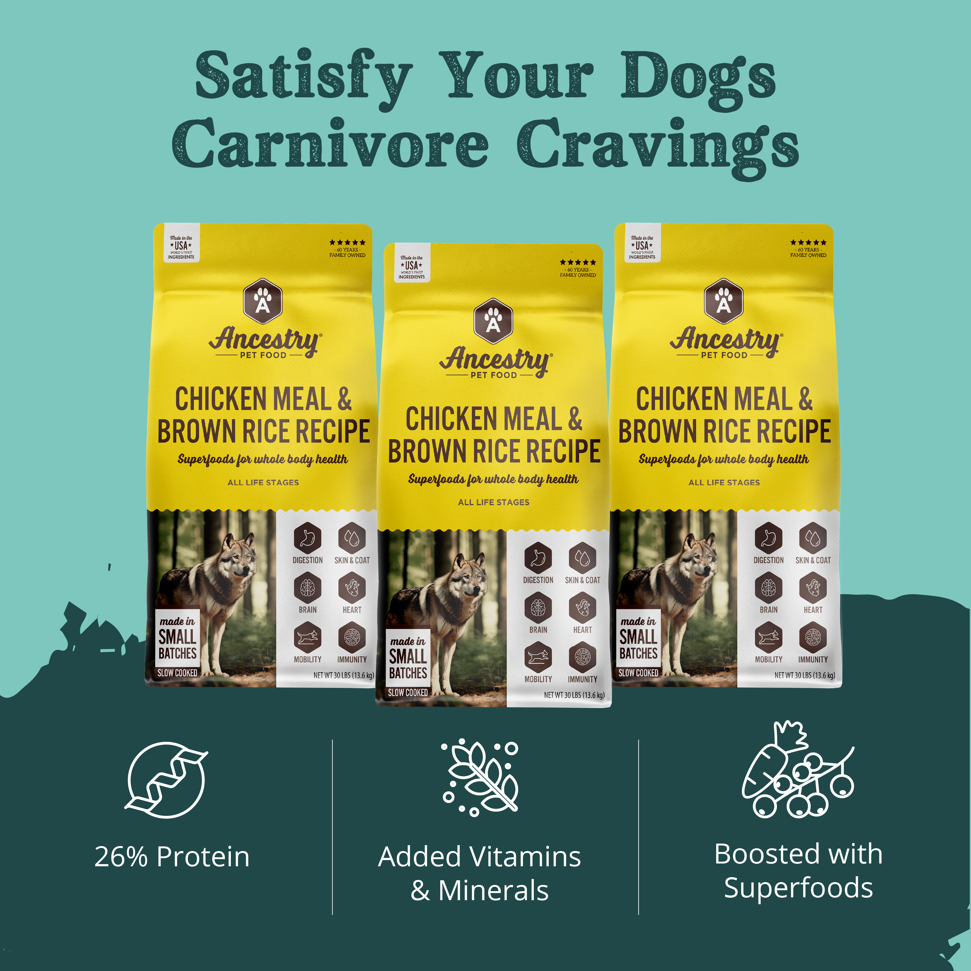 A yellow and brown bag of Ancestry Chicken Meal and Rice dog food, featuring a wolf image, health benefit icons, superfoods for whole body health, and all-natural ingredients made in small batches.