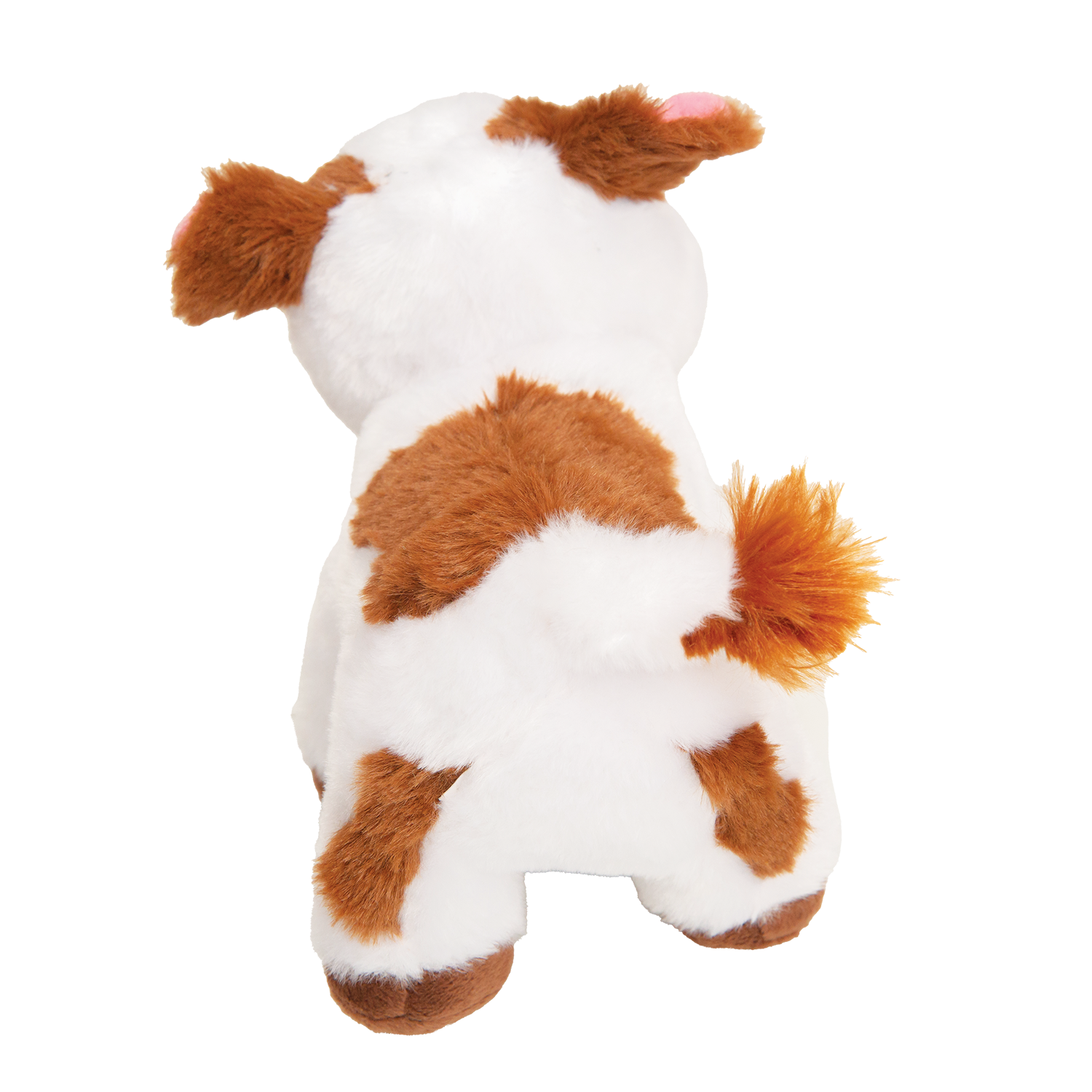 Caitlin the Cow