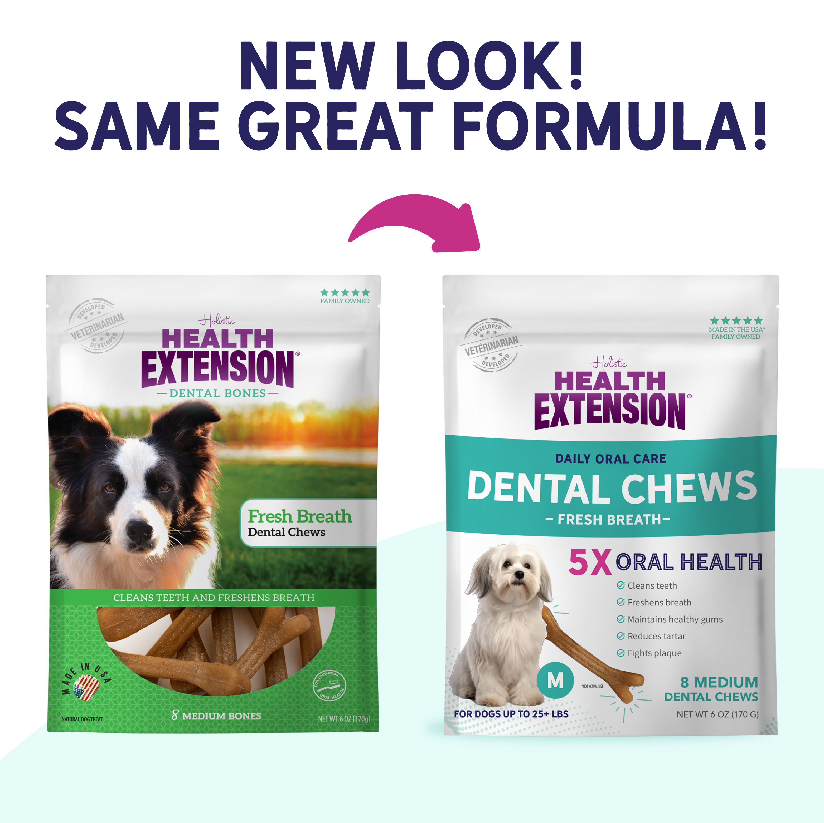 Fresh Breath Dental Bones