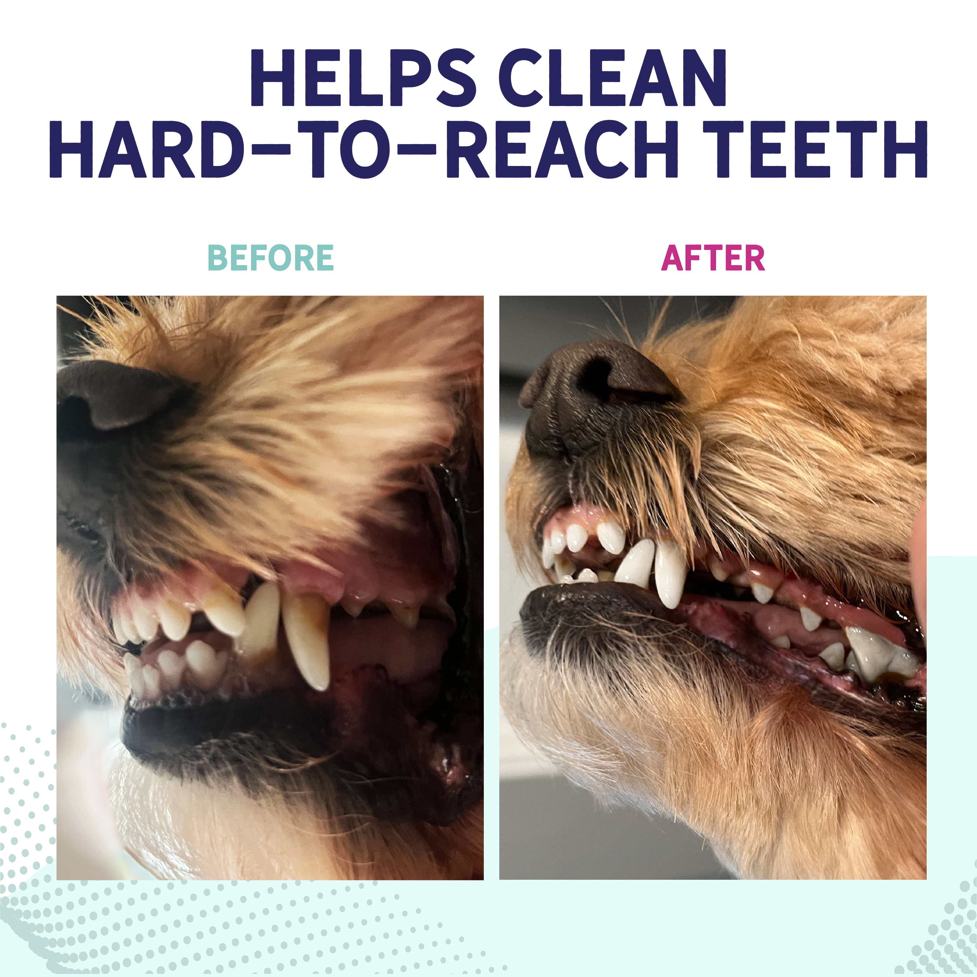 Health Extension Probiotic Dental Bones for dogs are shown in white and pink packaging featuring a small white dog, a chew, and text highlighting 5X oral health and probiotics. Each pack contains 14 chews that support digestive health.