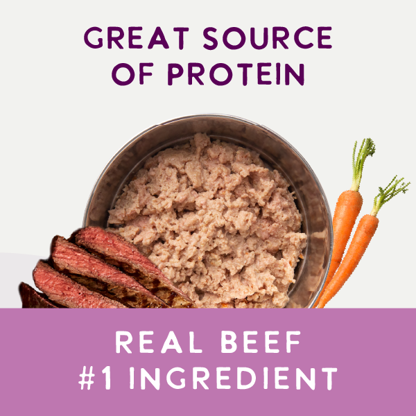 A 9oz can of Health Extension Digestive Support Beef & Carrot Entrée in Gravy, a complete and balanced pâté for puppies and dogs. Features images of beef slices and carrots on the label.
