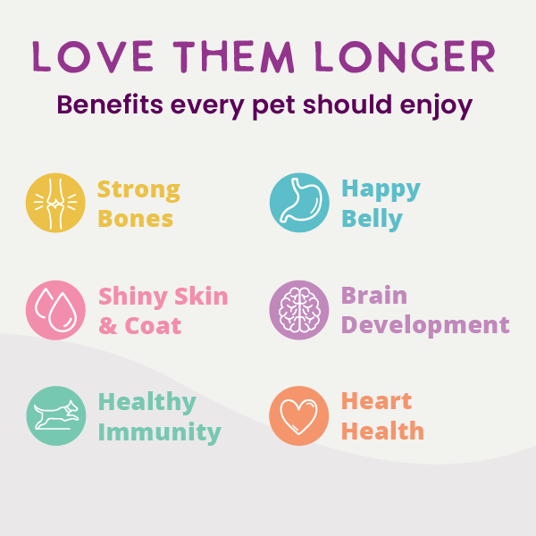 A 9oz can of Health Extension Digestive Support Beef & Carrot Entrée in Gravy, a complete and balanced pâté for puppies and dogs. Features images of beef slices and carrots on the label.