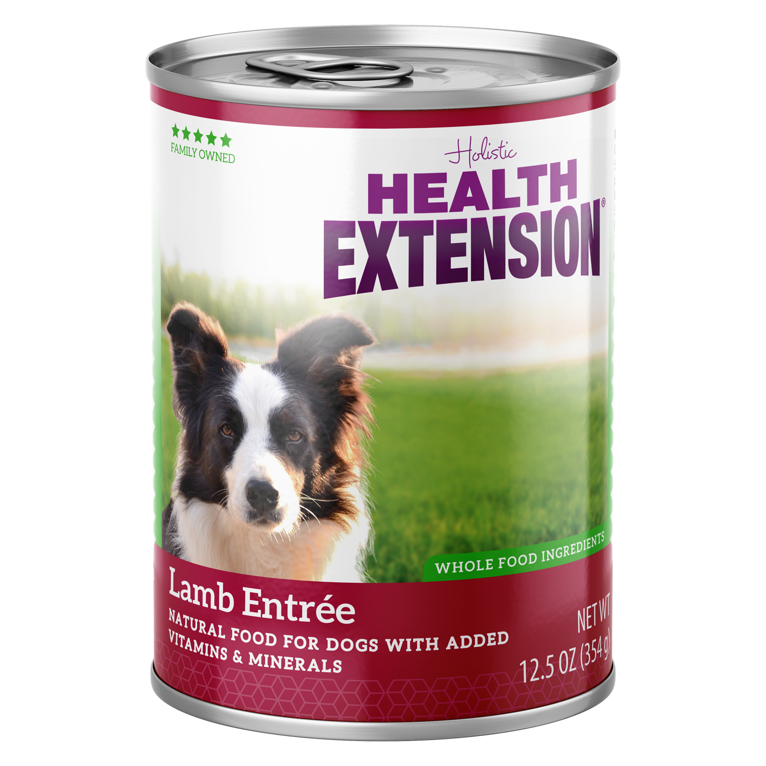 Holistic wet dog food deals