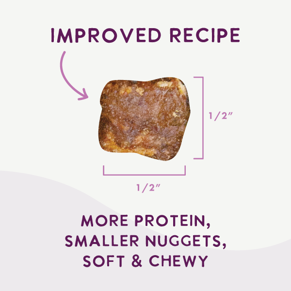 Air Dried Superfoods Salmon Recipe