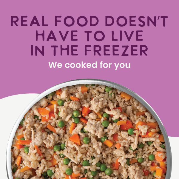 The Health Extension Gently Cooked Sampler Pack is displayed with three pouches—Chicken & Pumpkin, Beef & Potato, and Turkey & Carrot recipes in bone broth—plus two bowls of these fresh dog meals shown in front.