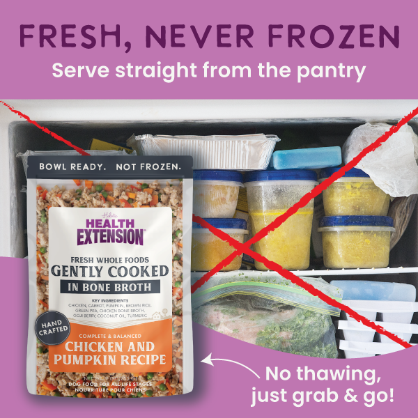 The Health Extension Gently Cooked Sampler Pack is displayed with three pouches—Chicken & Pumpkin, Beef & Potato, and Turkey & Carrot recipes in bone broth—plus two bowls of these fresh dog meals shown in front.